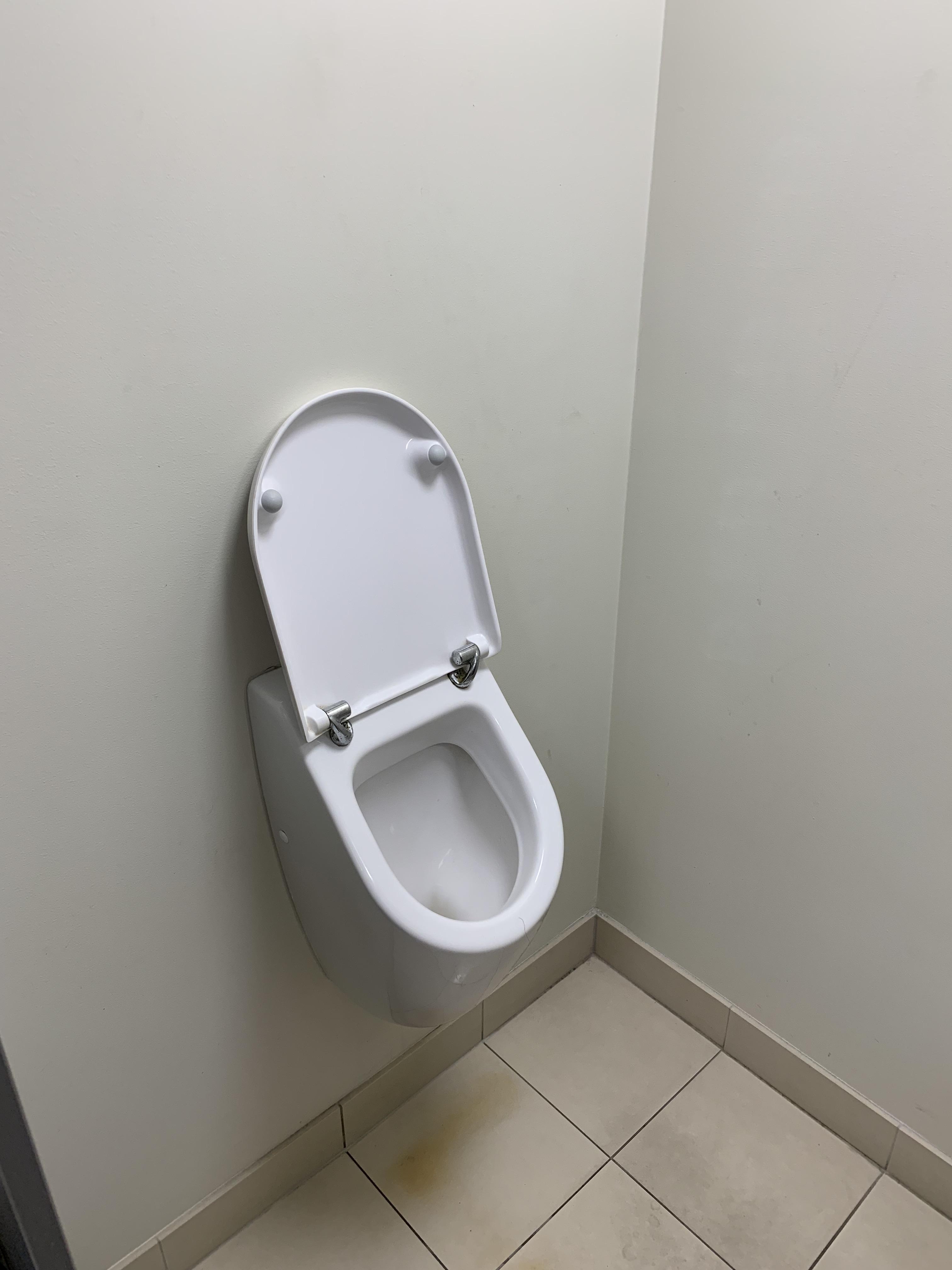 A urinal with a tiny lid r/mildlyinteresting