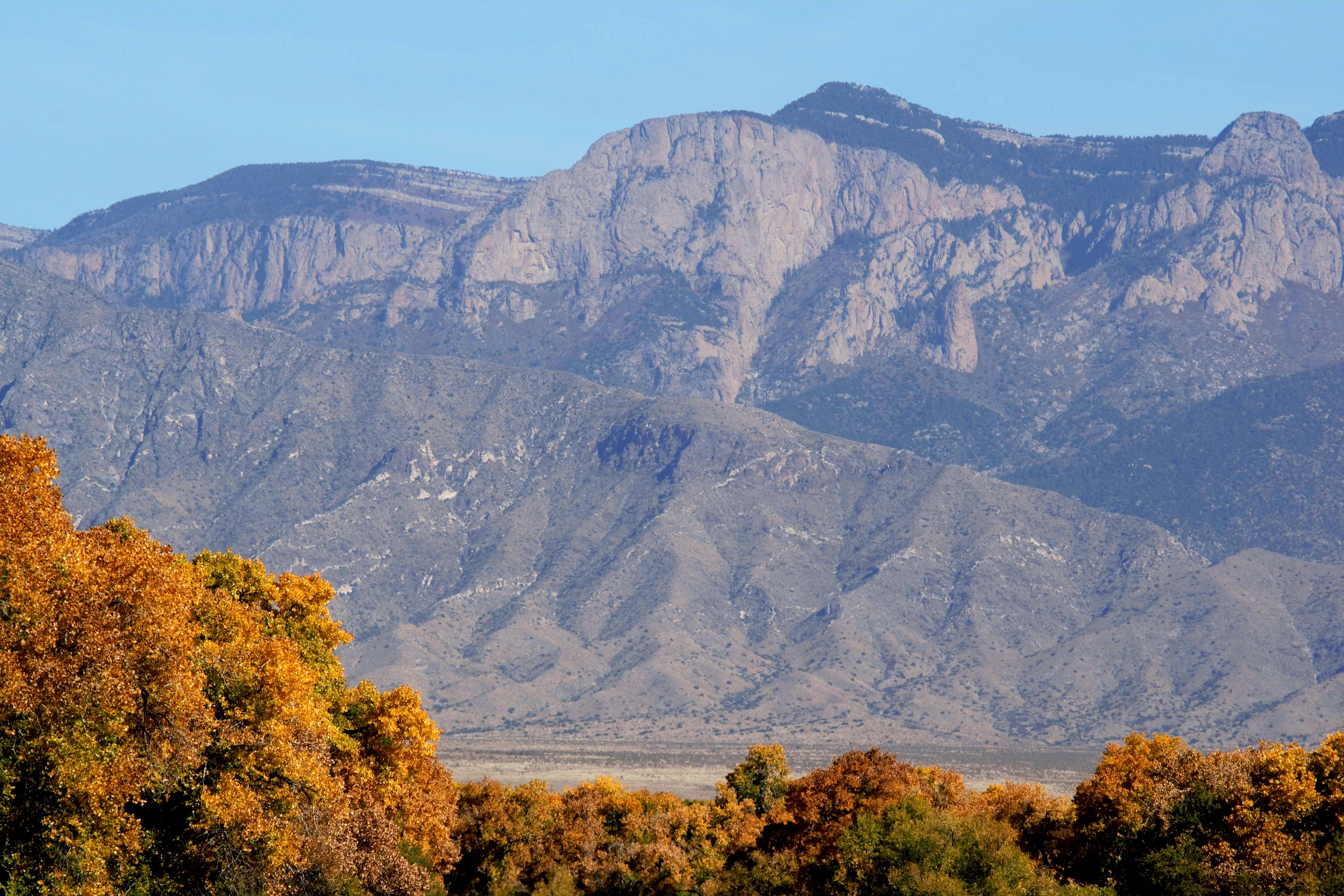 Hiking the Bosque Trail, Albuquerque, New Mexico. [OC] [4344x2896] r
