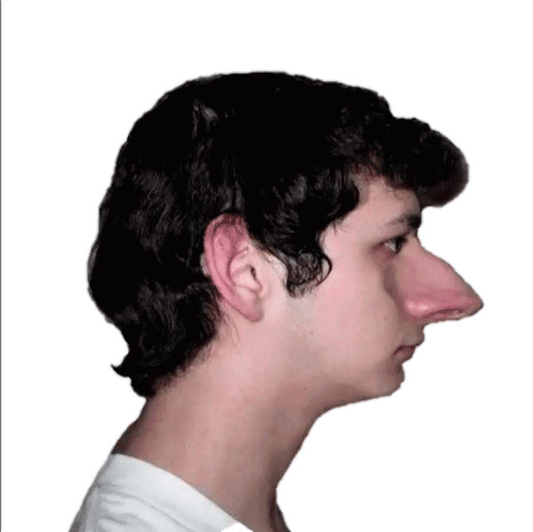 nose r/YandereDev_Memes