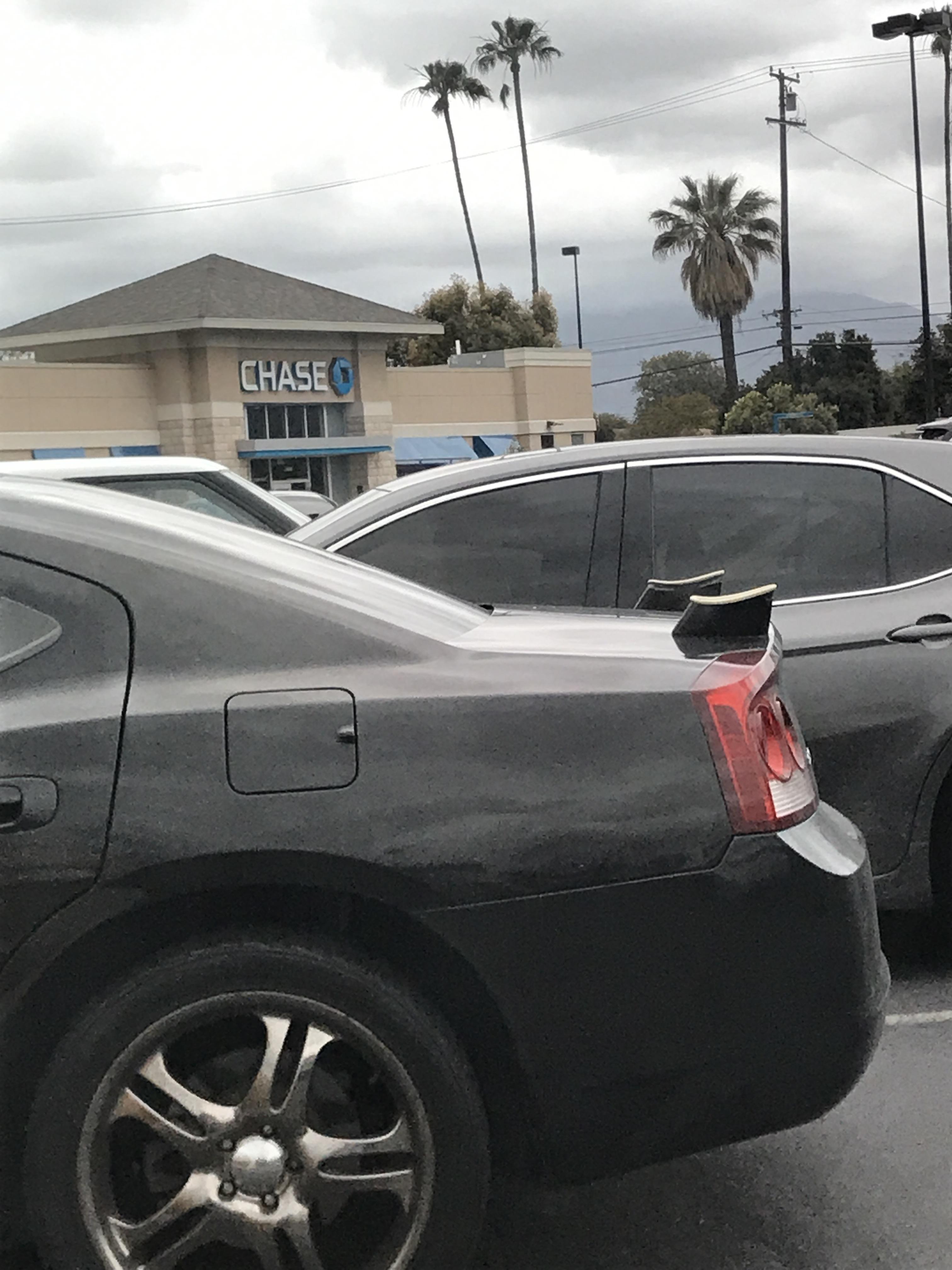 +5 horsepower : r/regularcarreviews