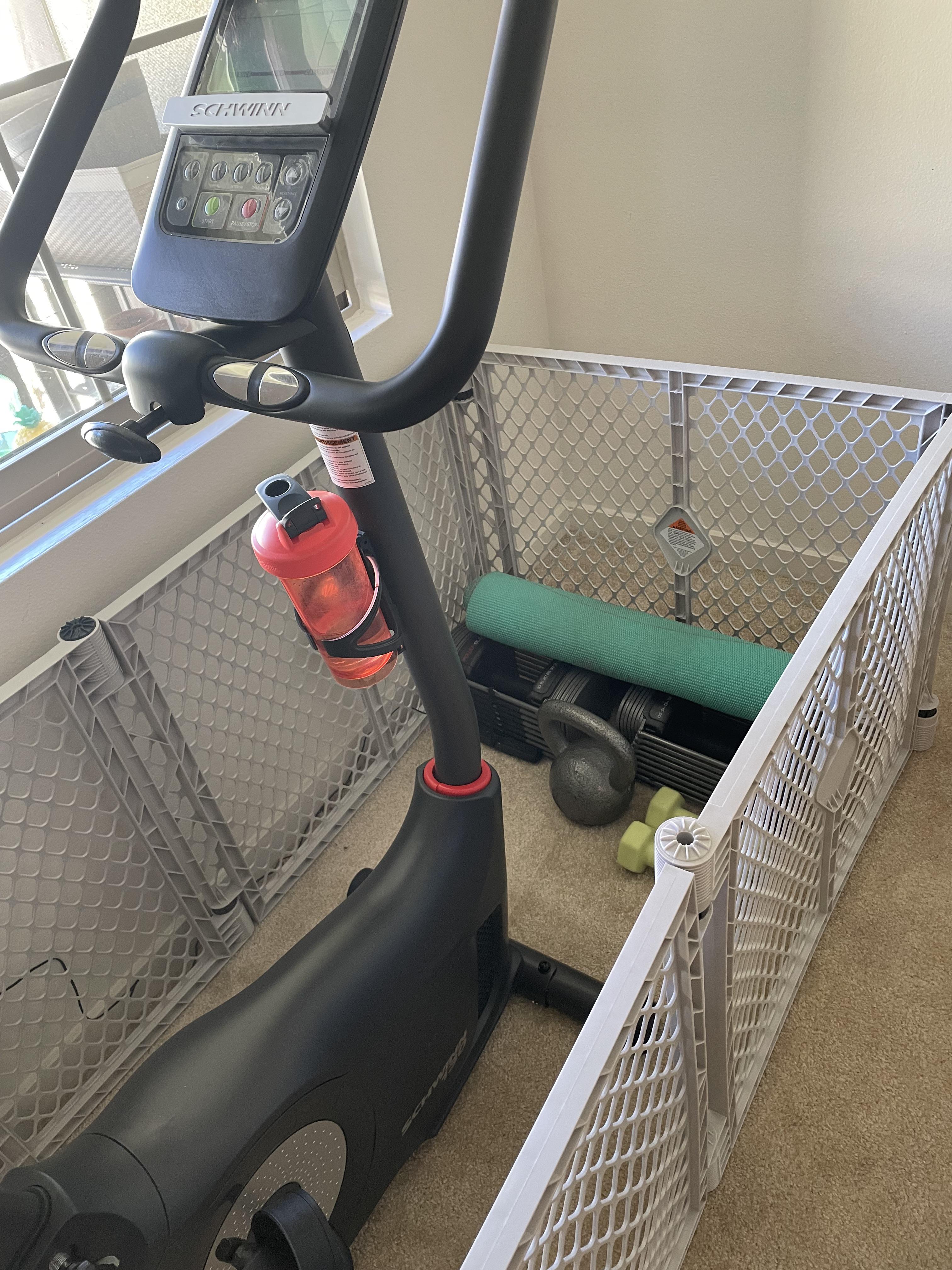 Apartment gym meets rambunctious toddler, work with what you got! homegym