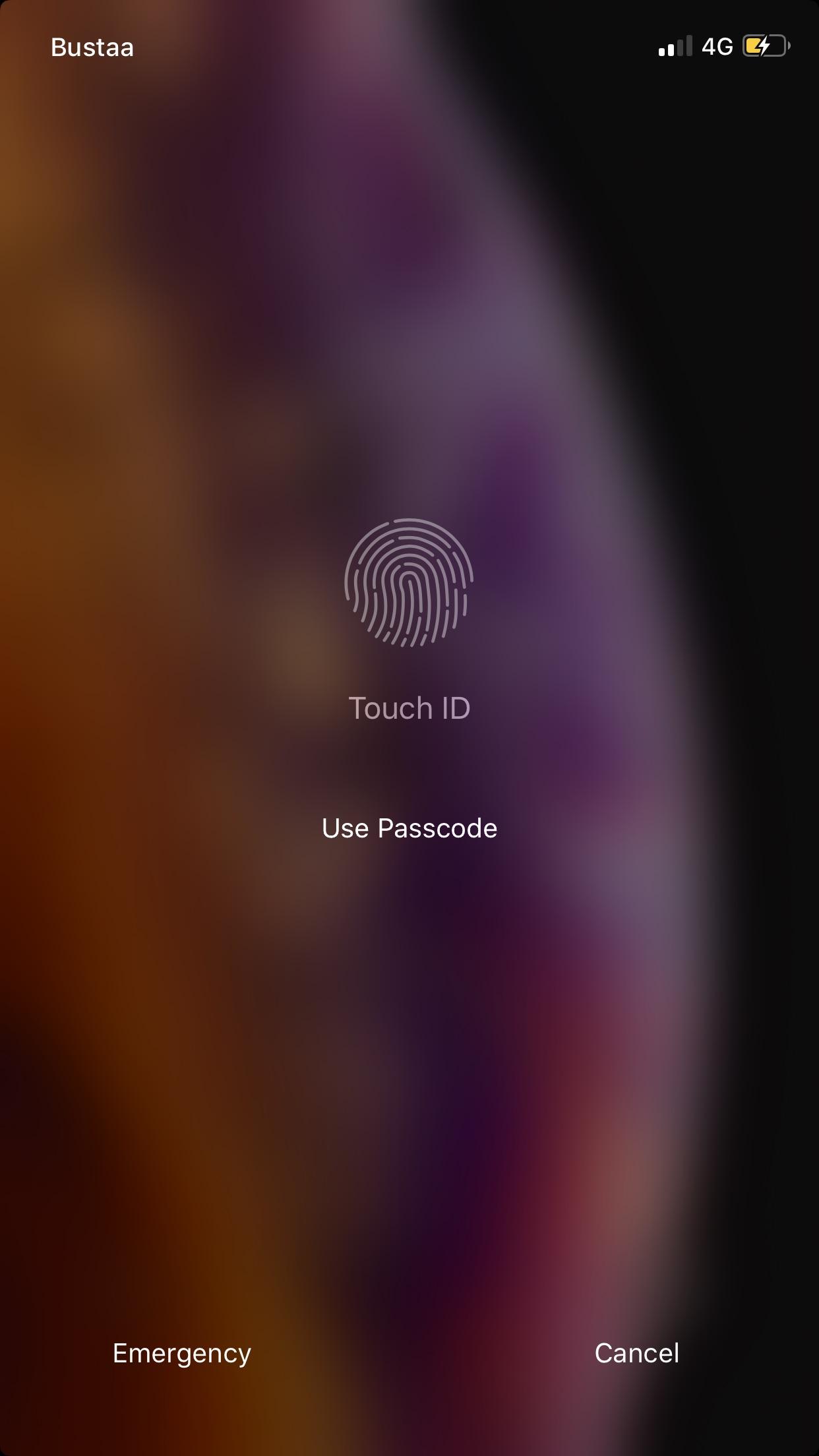 [REQUEST] change this Touch ID view to face ID for a total ipX look