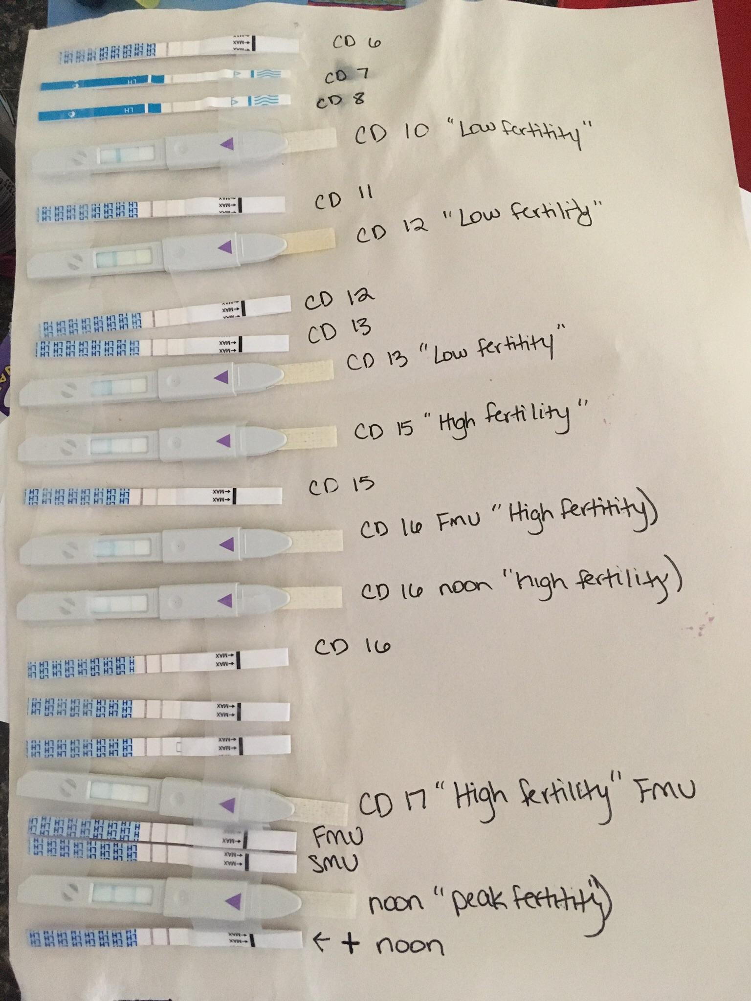 CD 17 OPK progression, Wondfo and Clearblue Advanced Digital OPKs