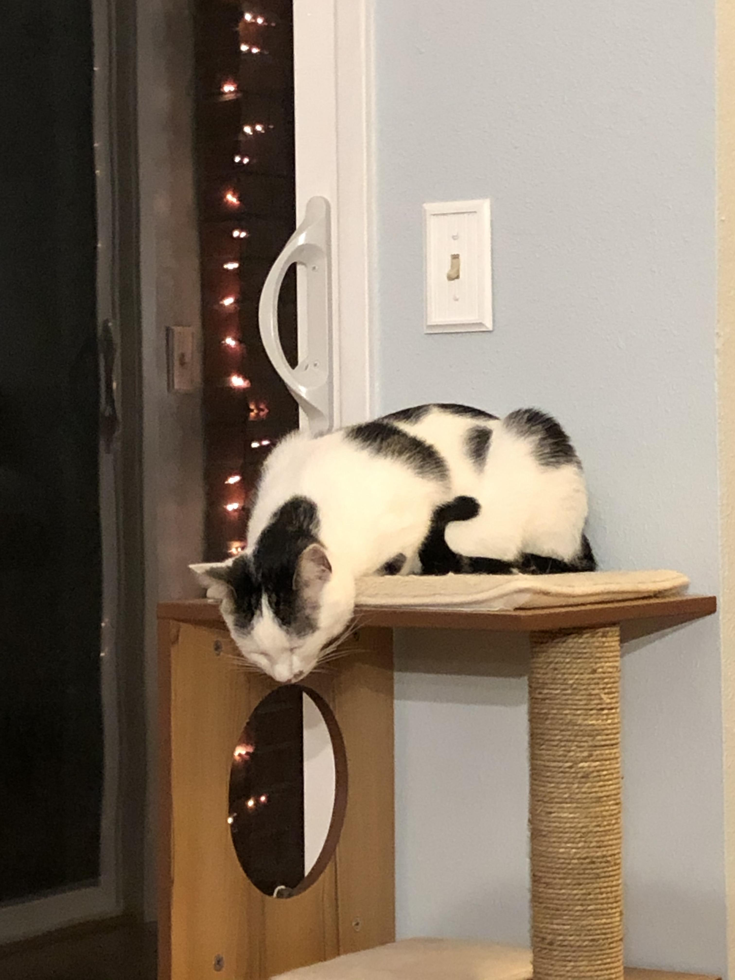 Reddit Dive into anything