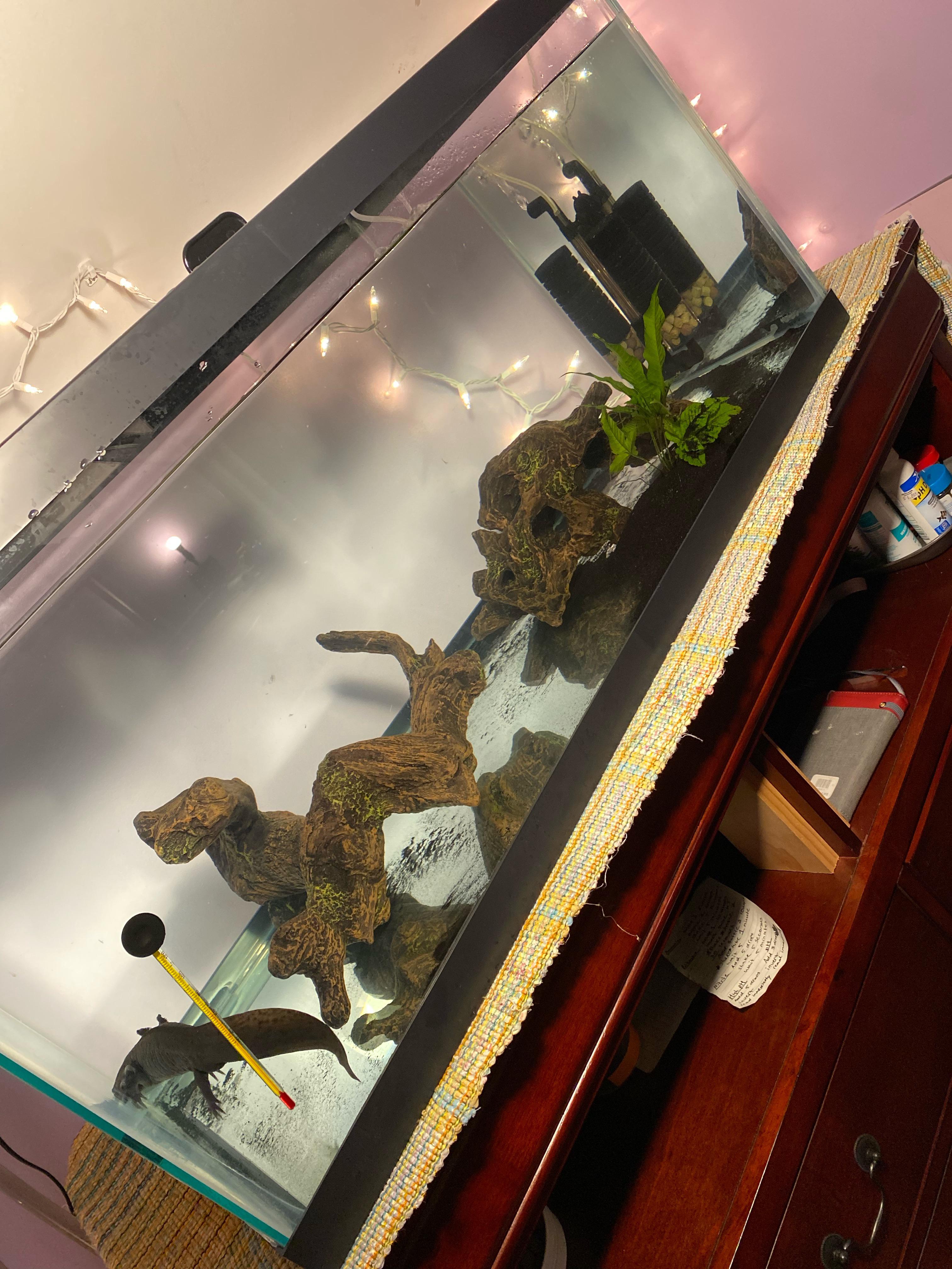 In the process of removing the black sand but does any1 know if once I