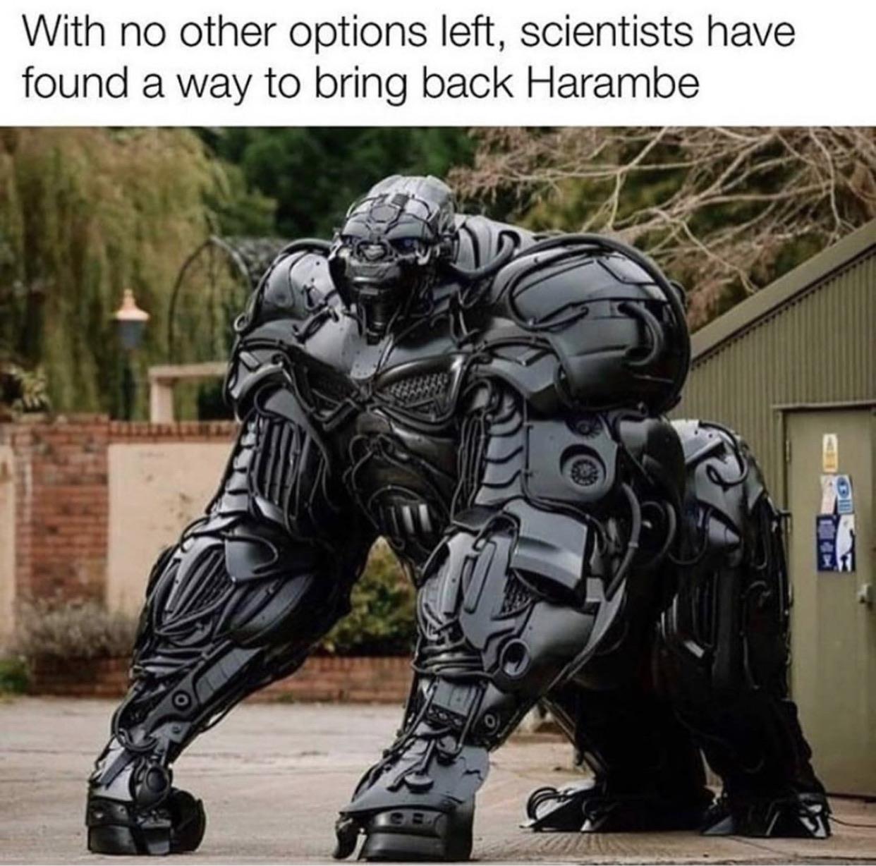 We gotta return to the proper timeline memes