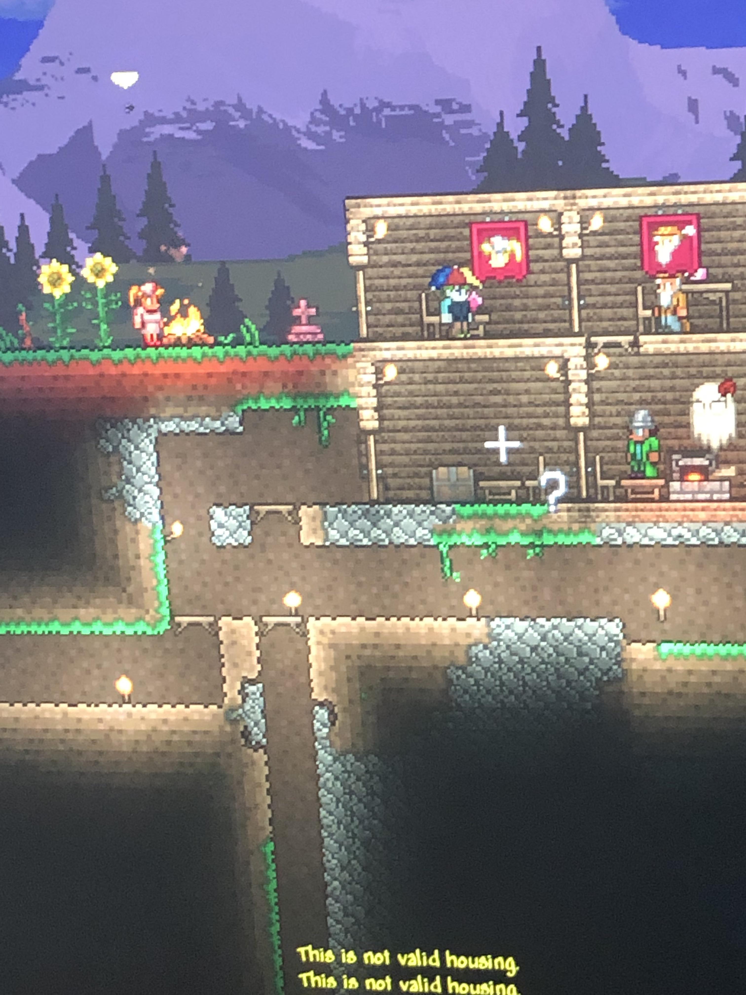 Why is this “not valid housing” r/Terraria