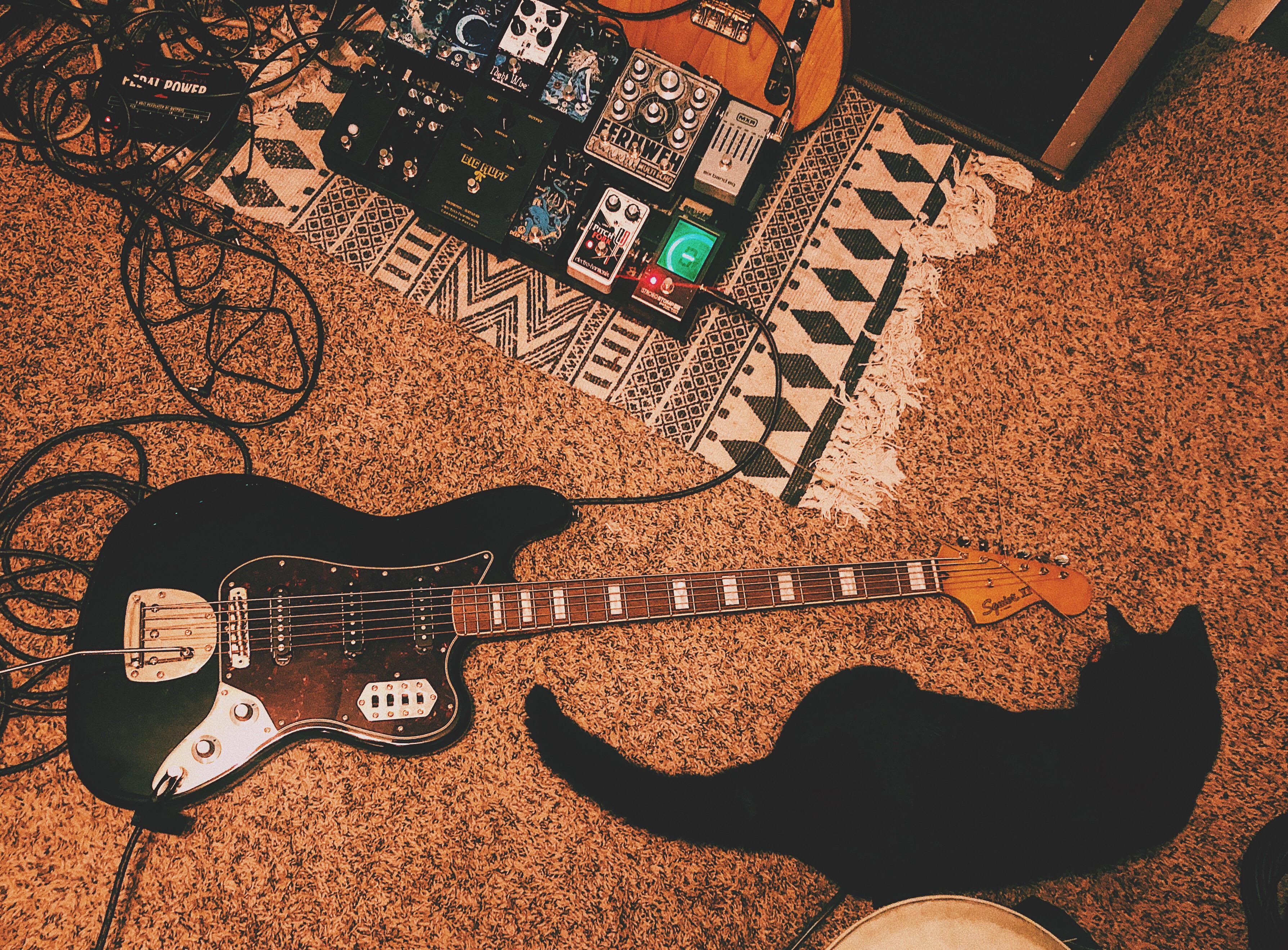 1109 best Bass Vi images on Pholder Bass VI, Offset and Bass Guitar