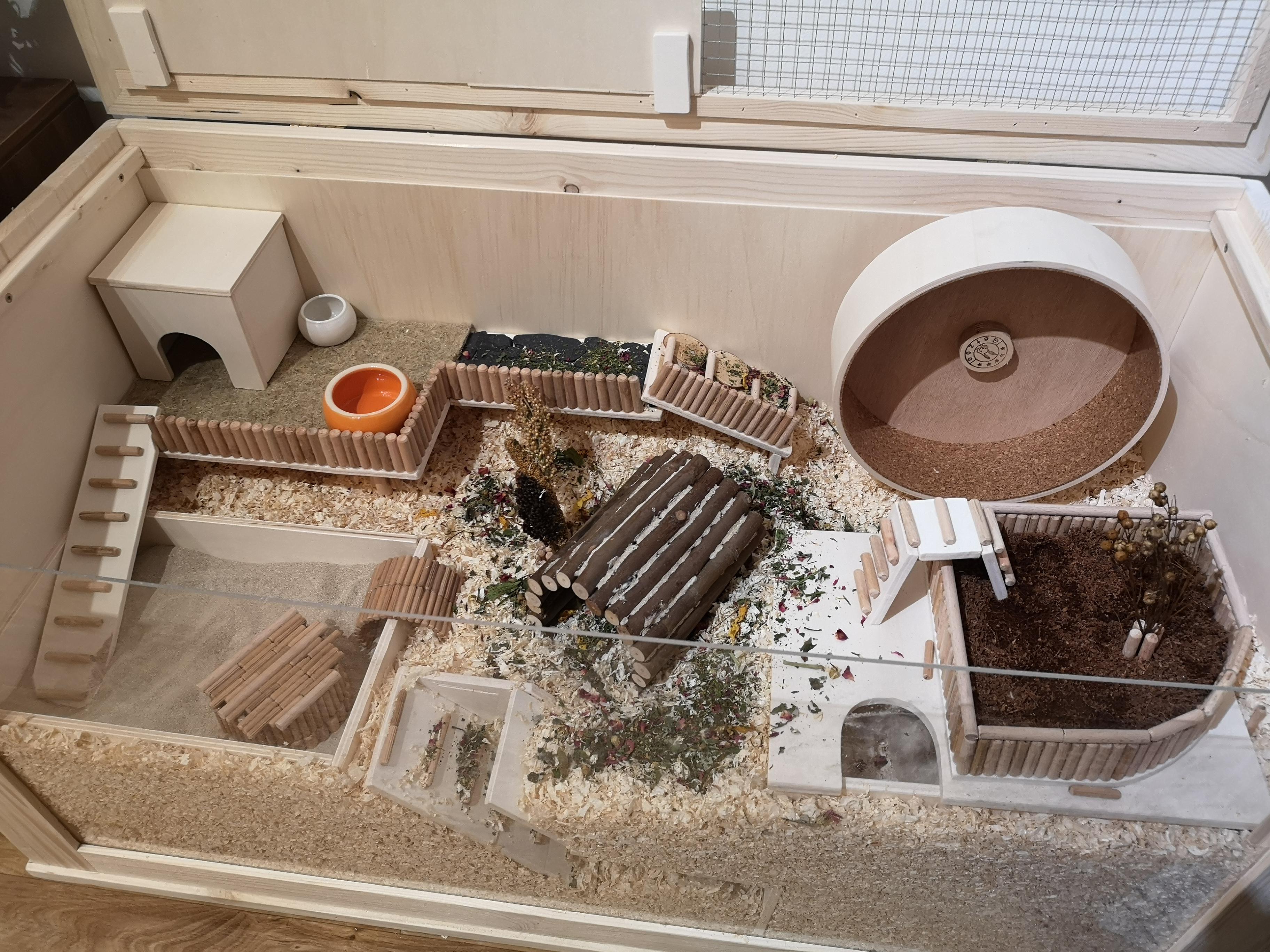 Small update on my cage added a willow bridge in the middle and some