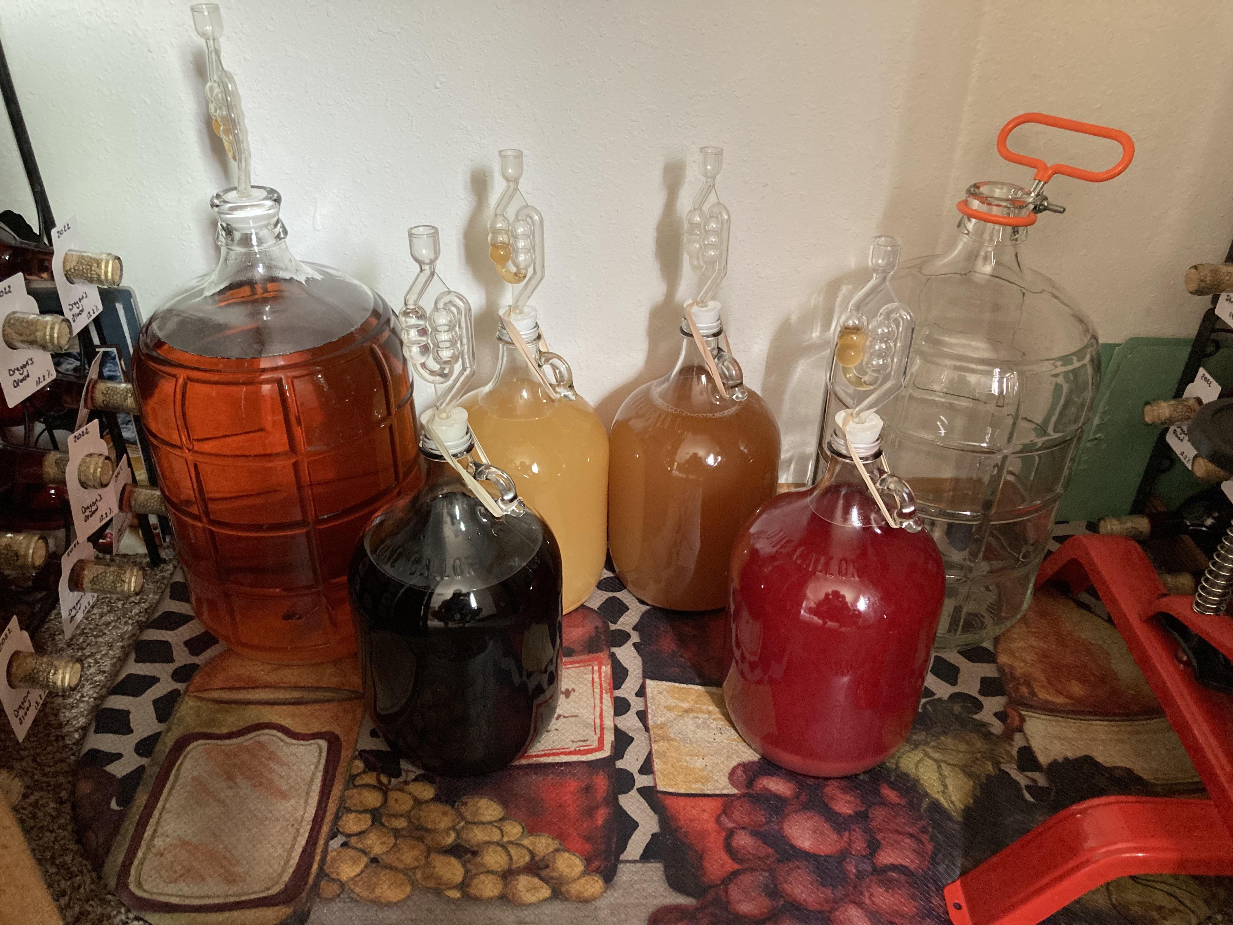 Foraged fruit wines in the front row, apple wine and cider in the back