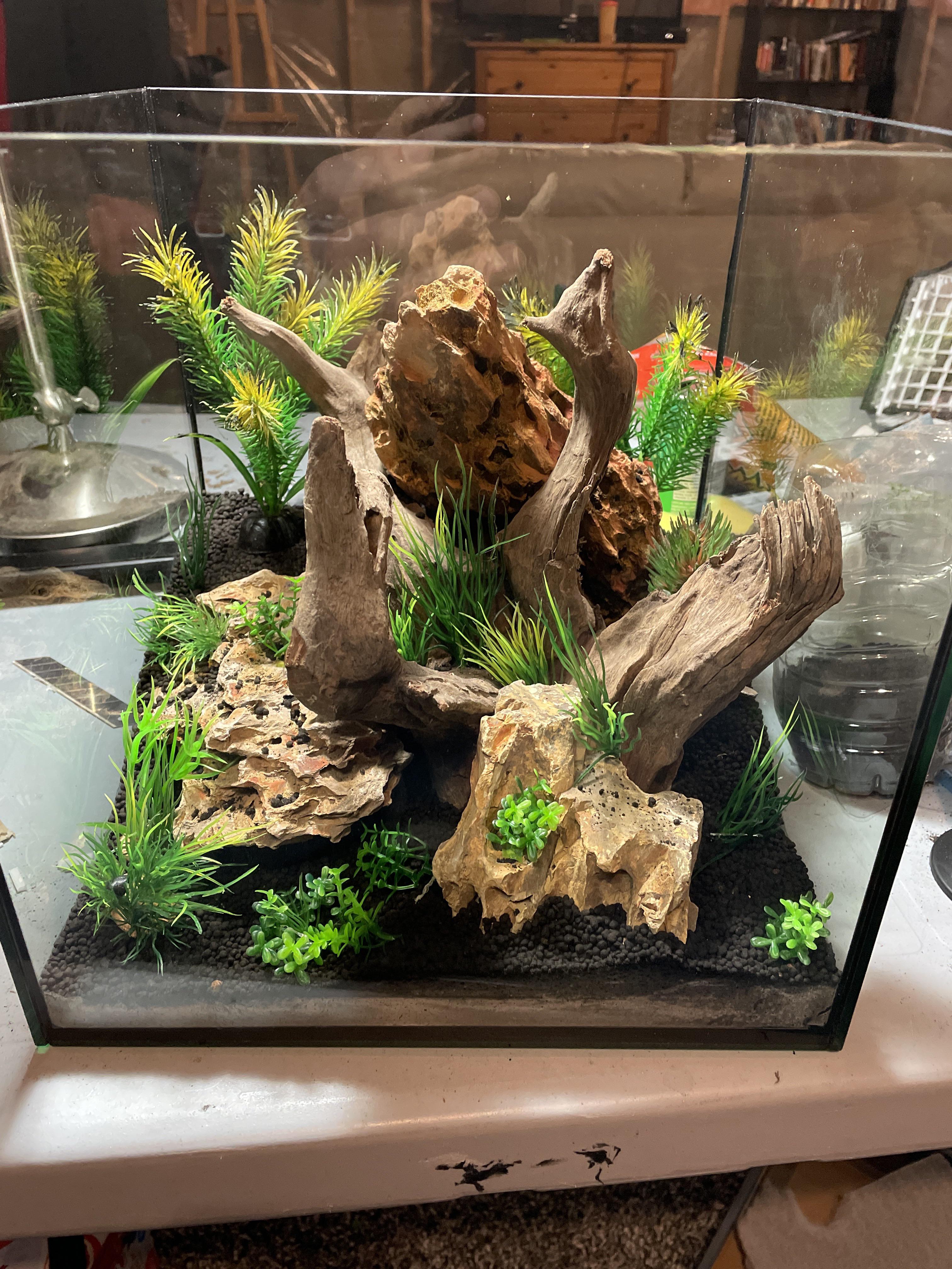 Scaped this in 30 mins (fake plants for an idea) r/Aquascape