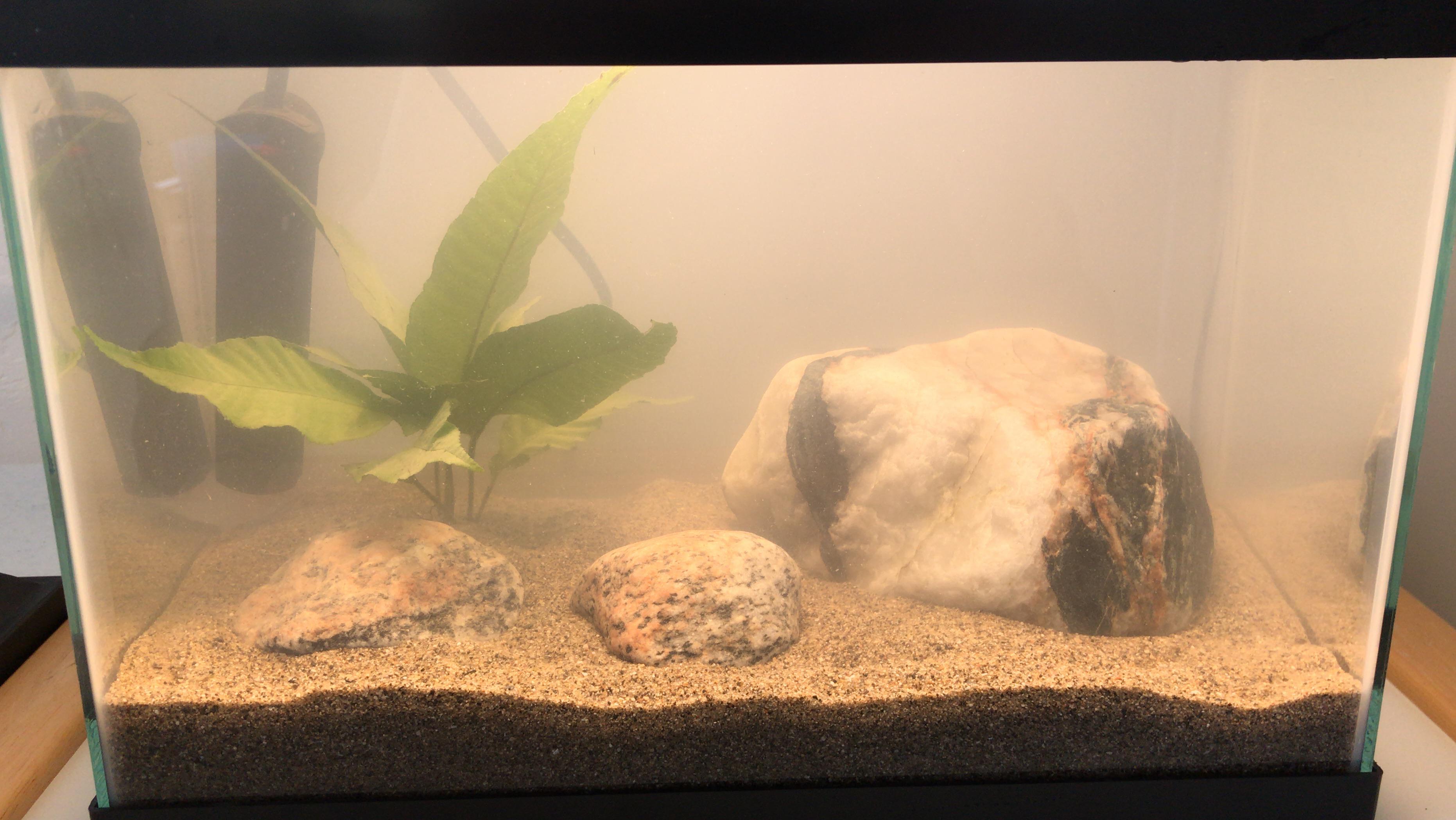Added quartz rocks to my new aquarium r/rockhounds