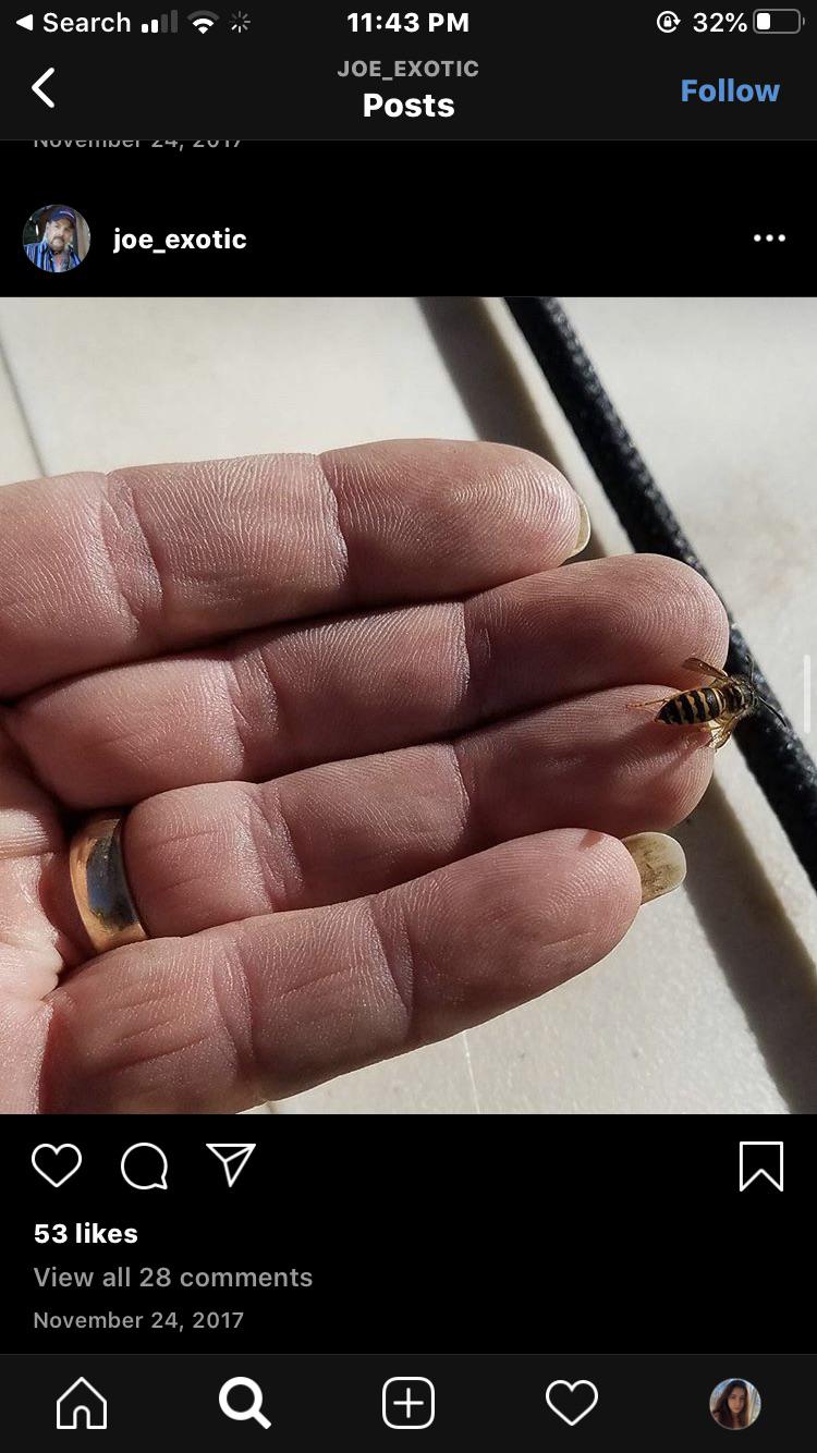 Joe’s coke nail?? TigerKing