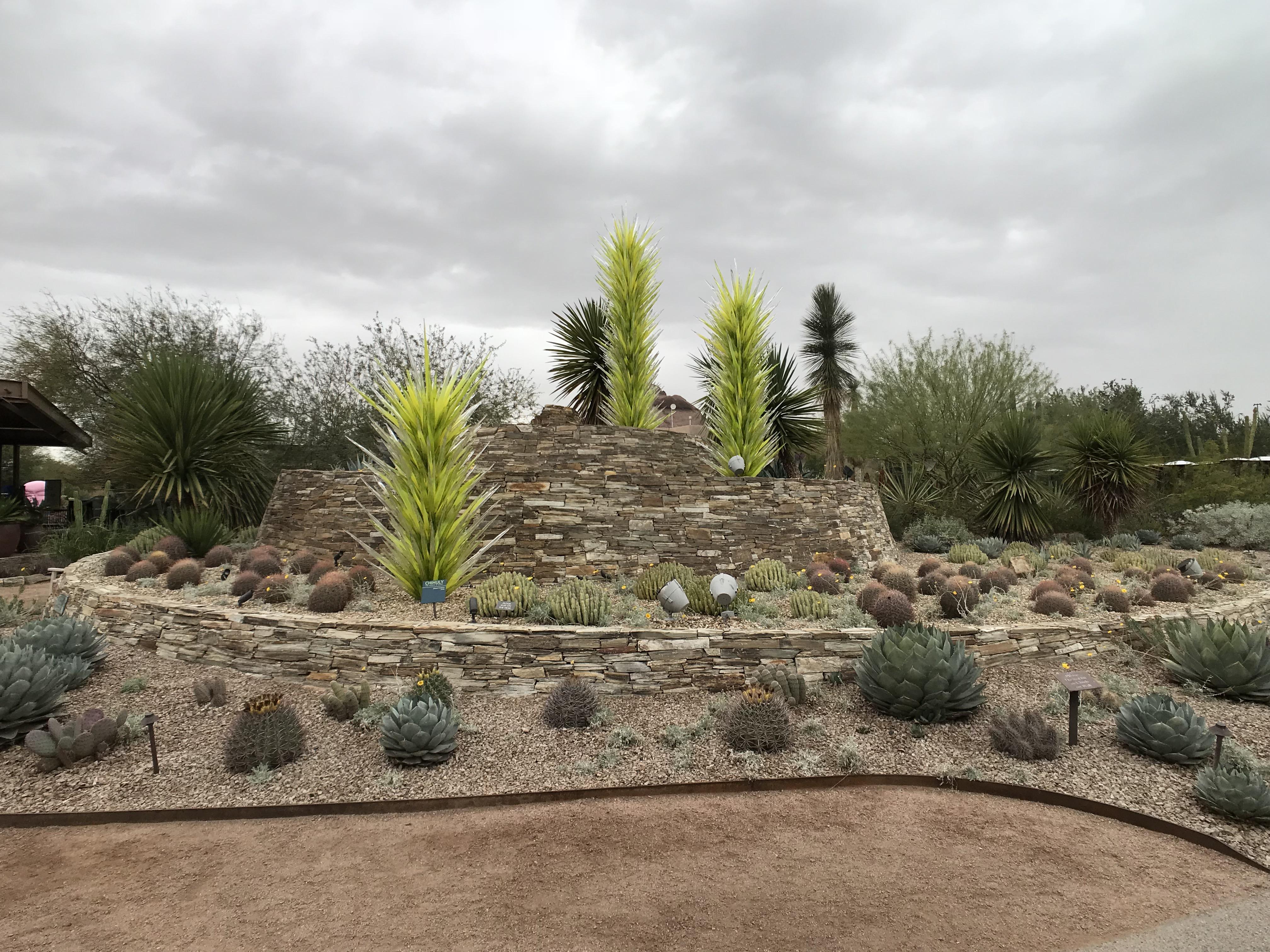 Dog day at Desert Botanical Garden r/phoenix