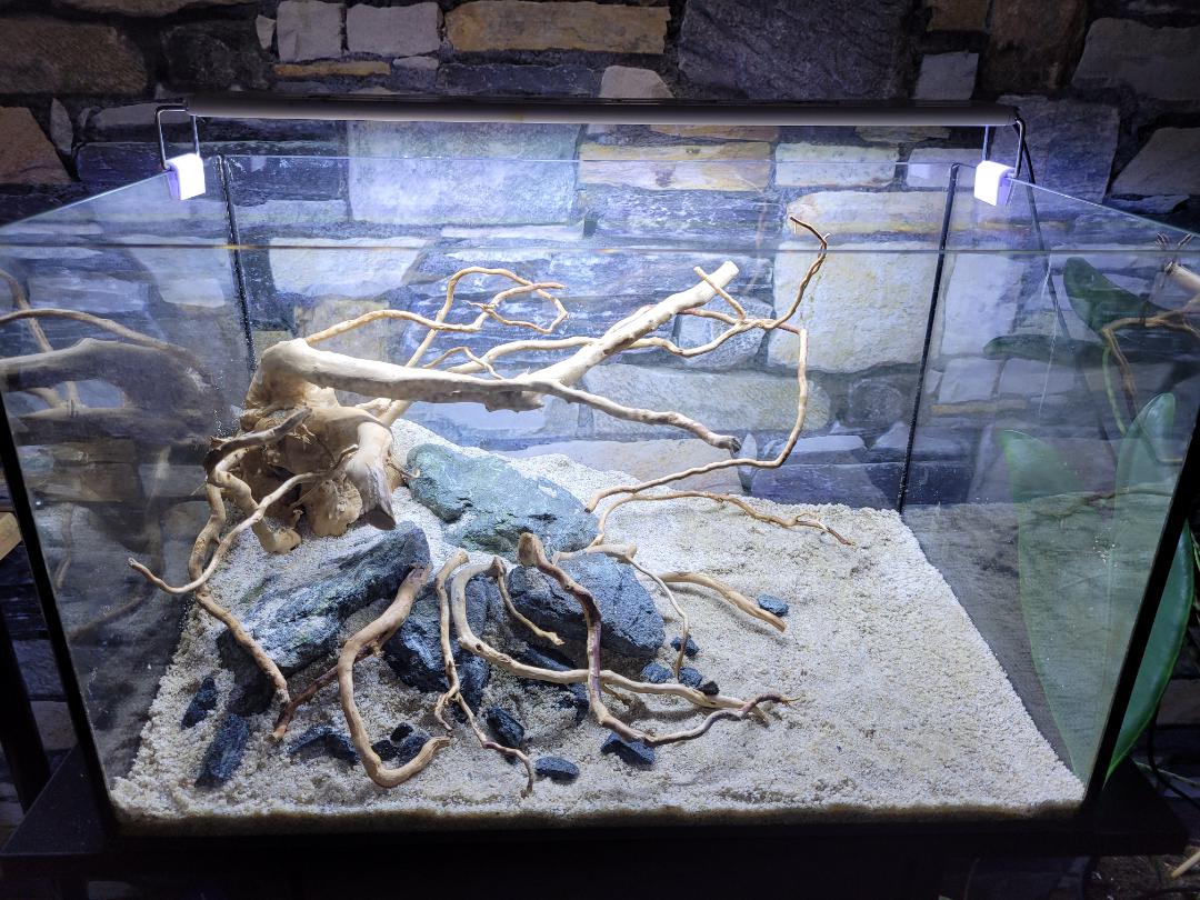 10 gallon shrimp tank hardscape. Got a ton of plants, but I feel like