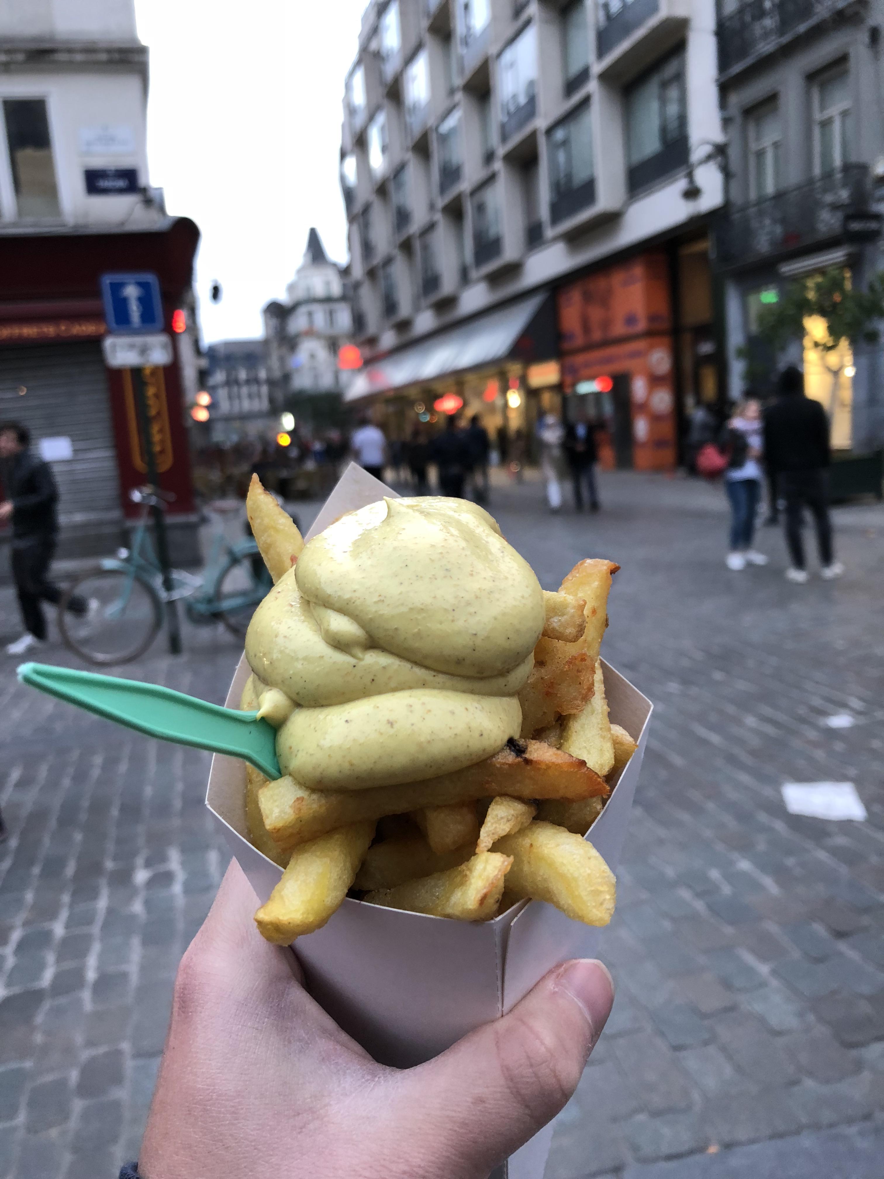 [I ate] fries with curry sauce r/food