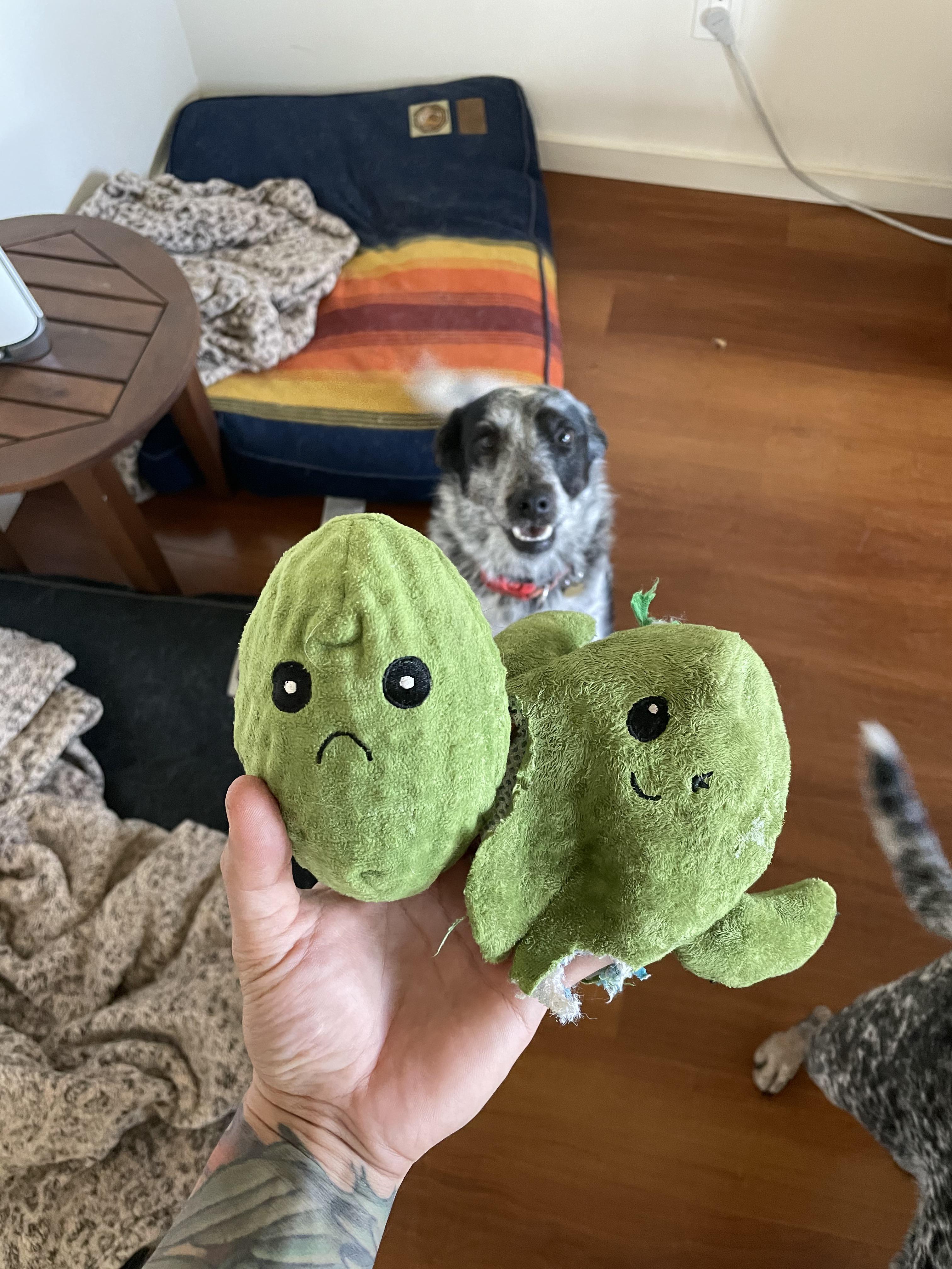This double layered dog toy r/mildlyinteresting