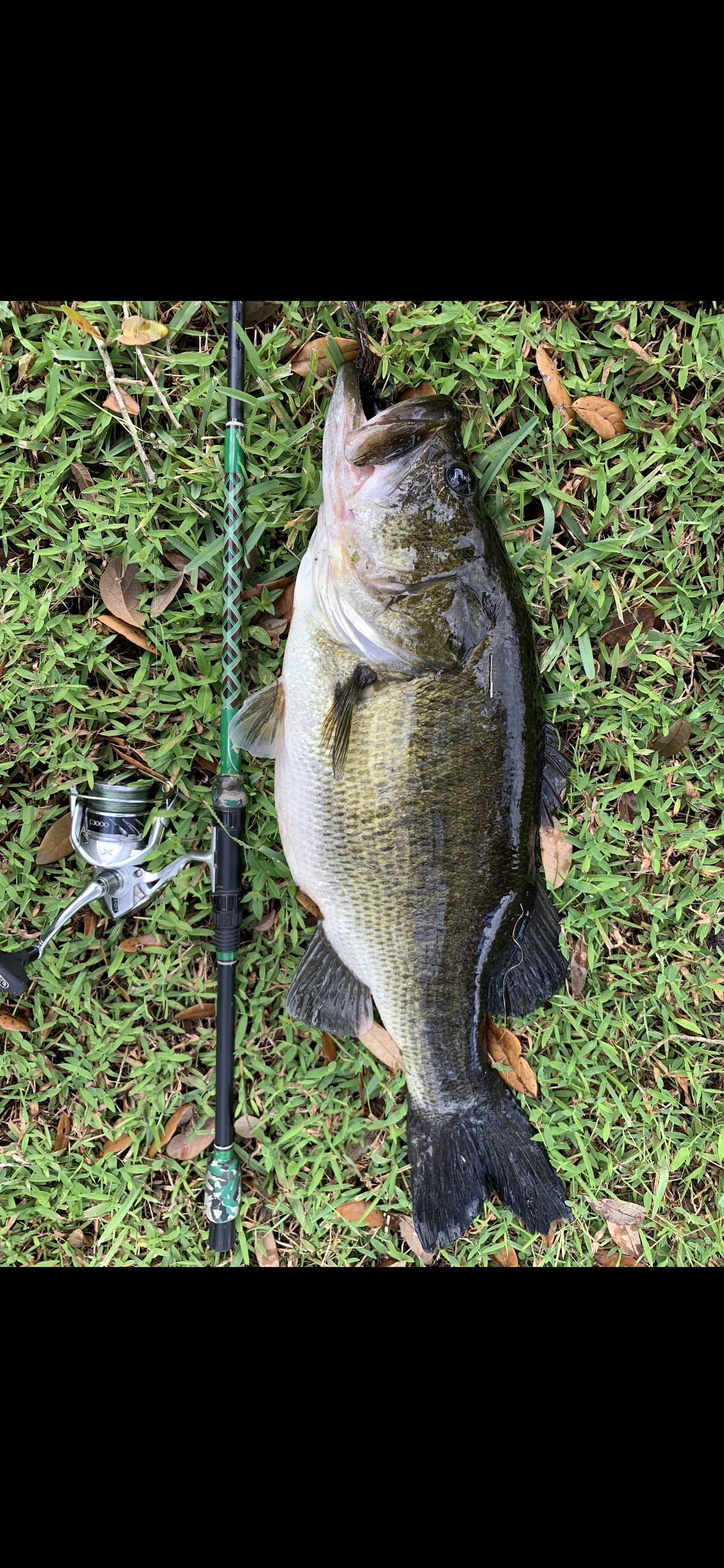 32 best u/jarrod_69 images on Pholder Fishing, Bassfishing and Aww
