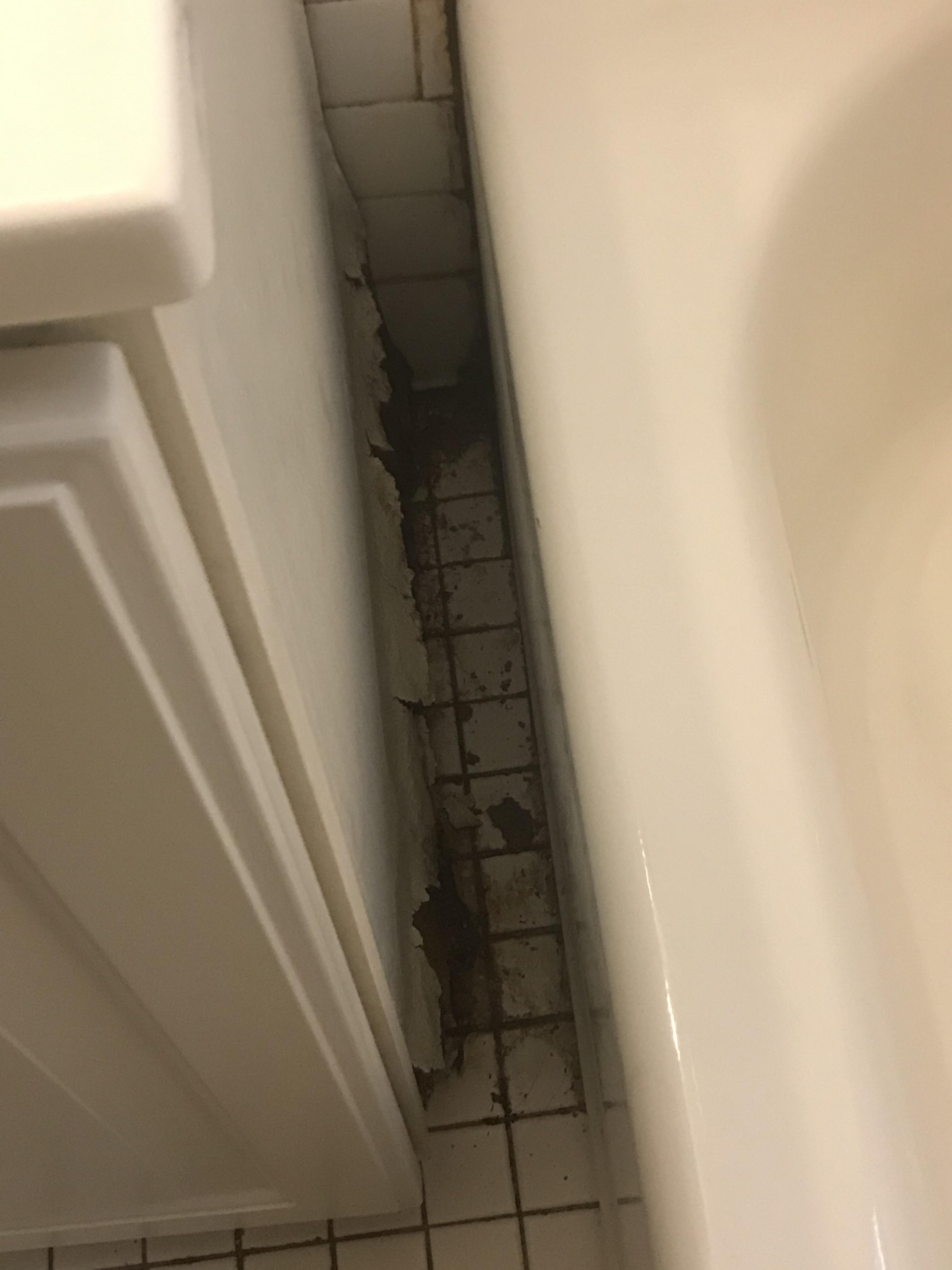 Is this mold? The plywood is disintegrating from water damage and there