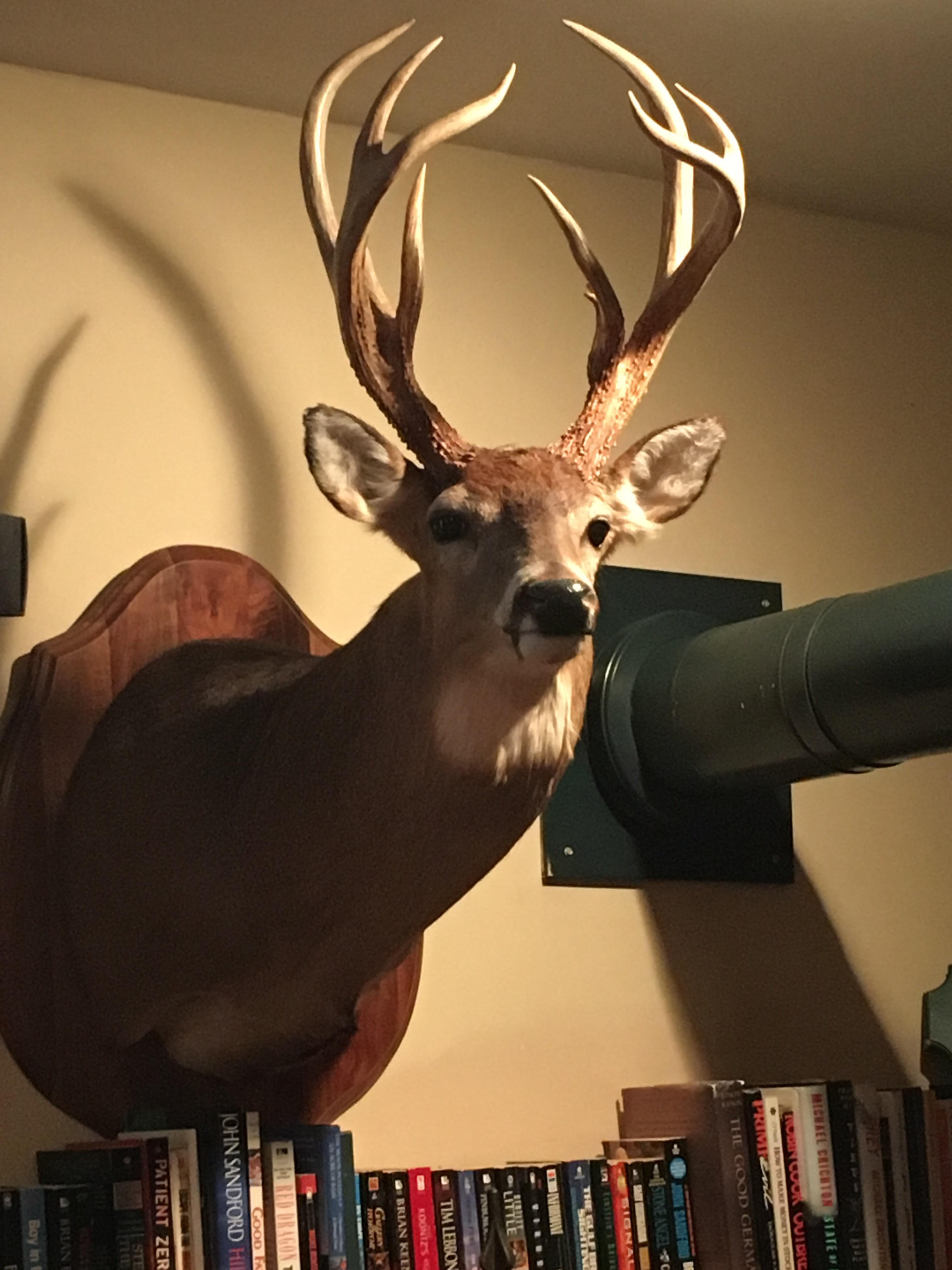 My dad's weird basket buck. r/Hunting