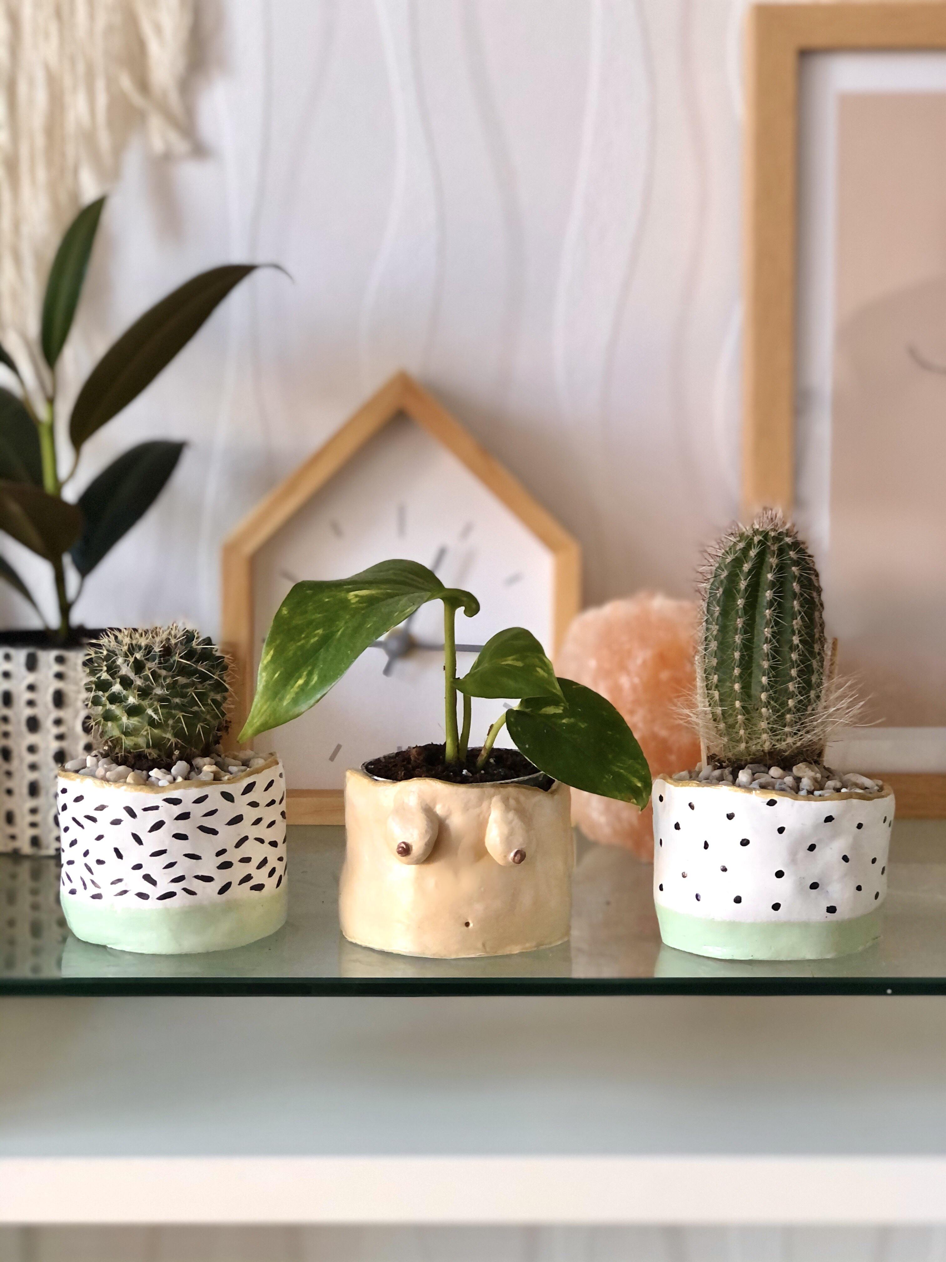 I made my own tiny plant pots using air dried clay! So pleased with how