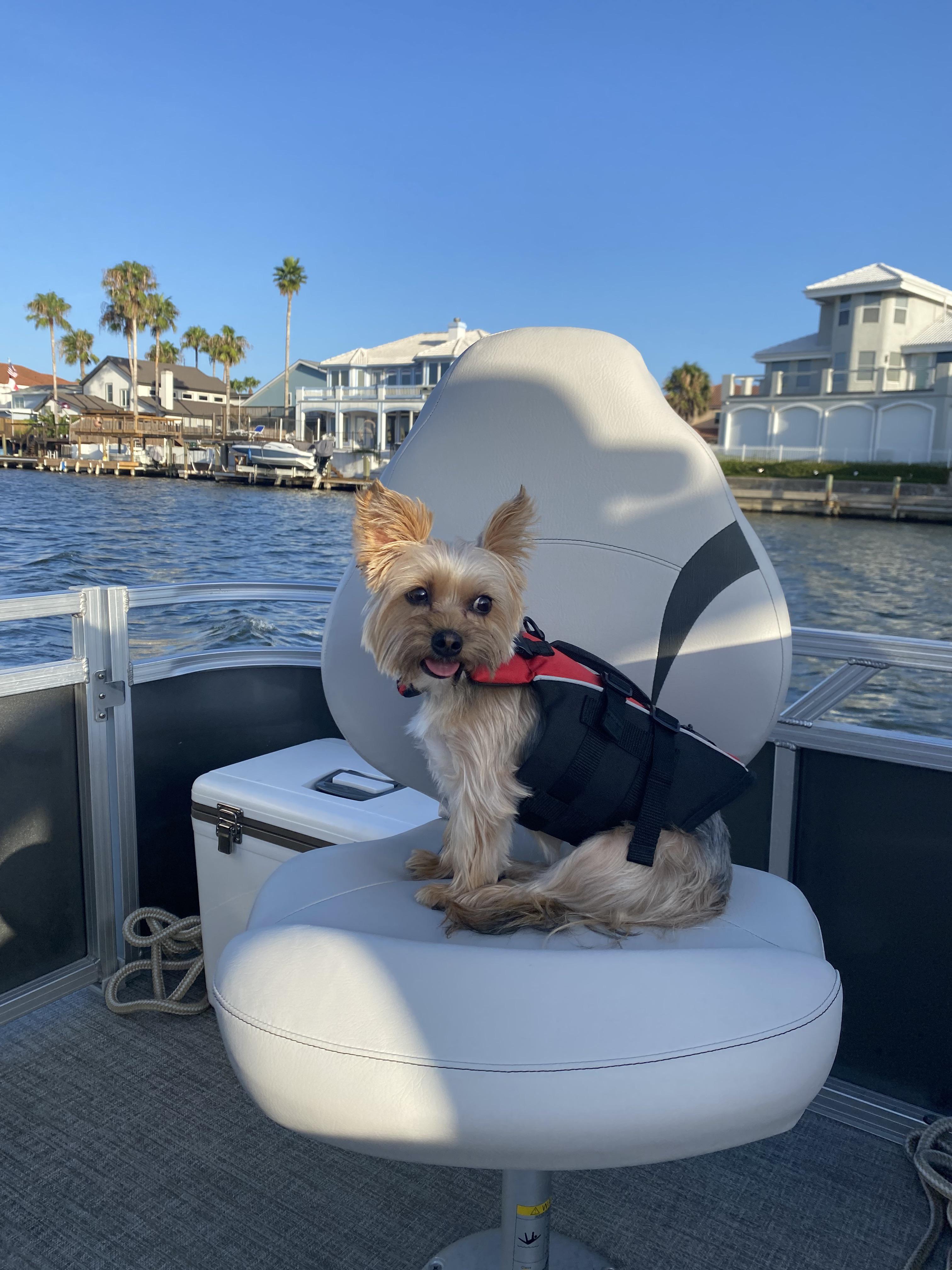 Kiki’s first time on the boat and wearing a life jacket. Safety first