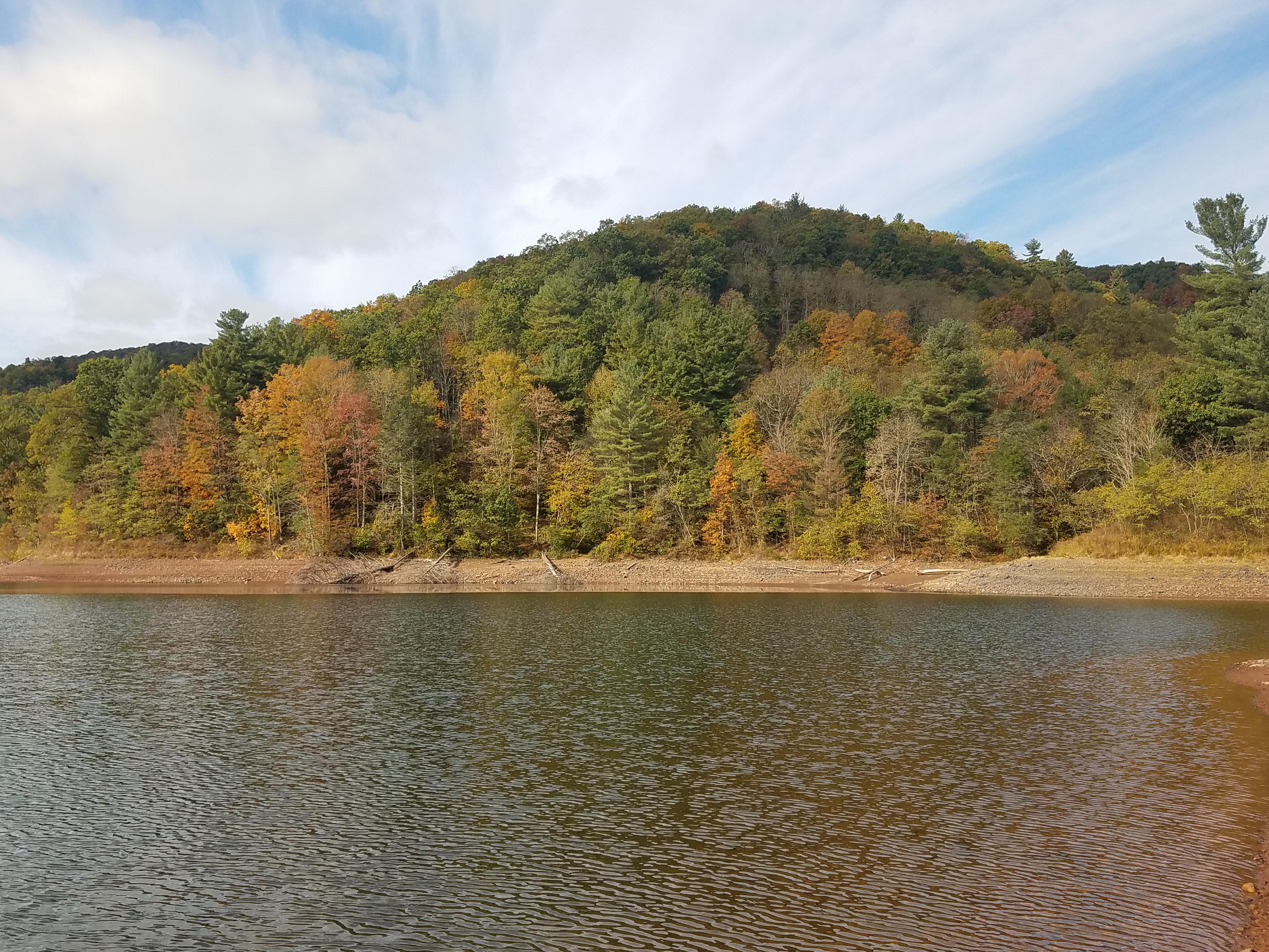 Went fishing up in the mountains this weekend r/Virginia