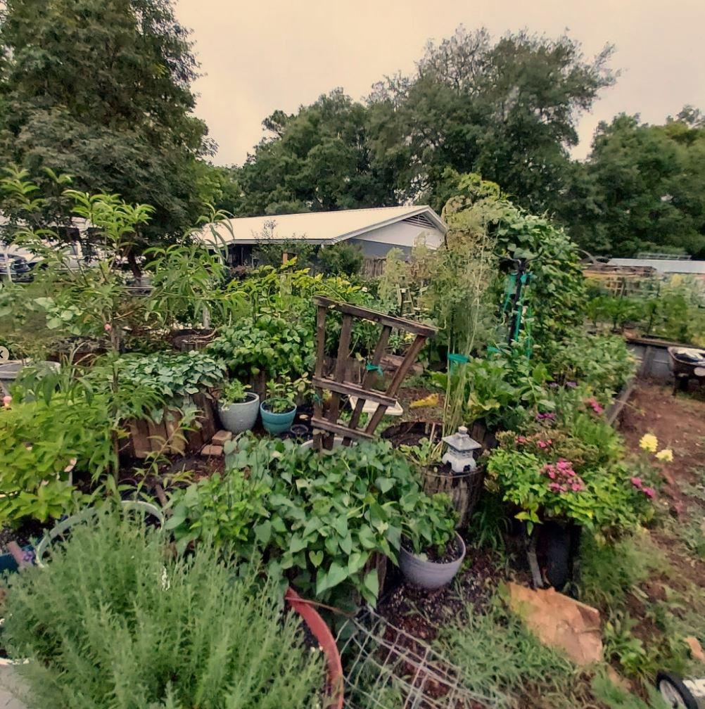 Garden Front "Lawn" NoLawns