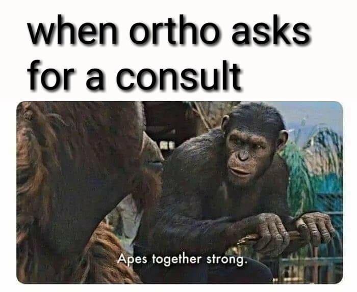 Orthobros unite [shitpost] Residency