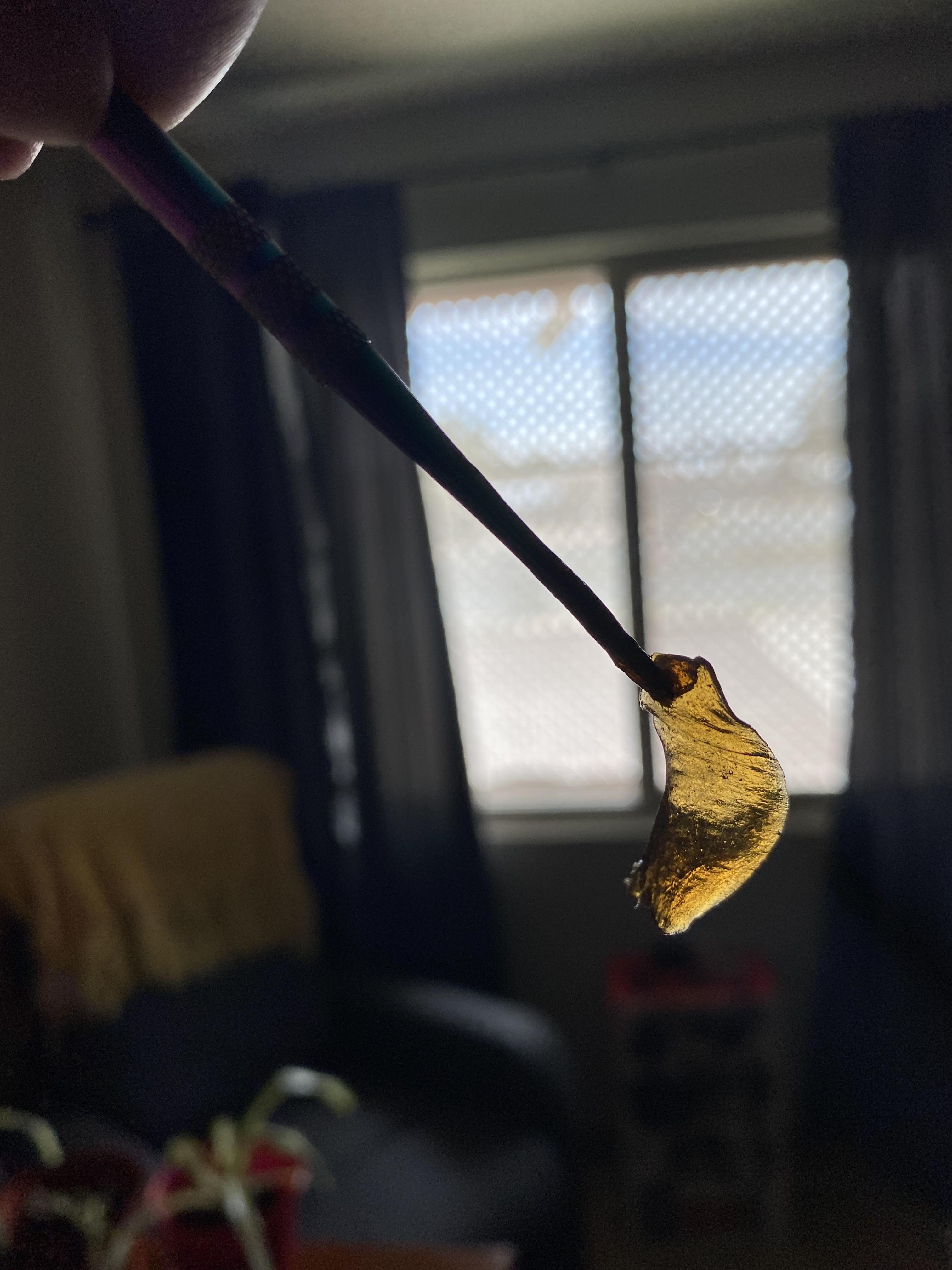 3rd time pressing.. GMO flower rosin from the hair straightener. Thank