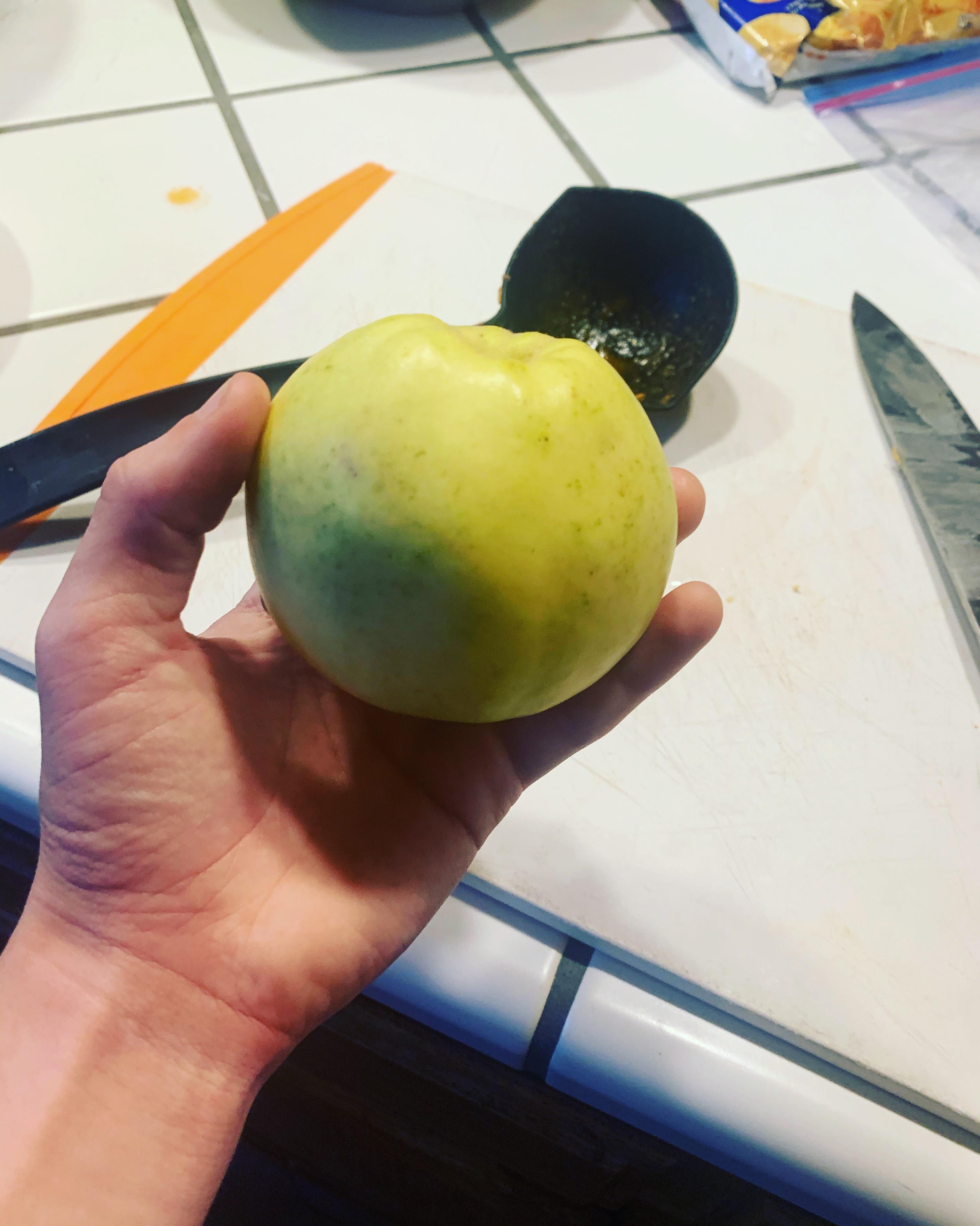 Can Dogs Eat Quince Apples