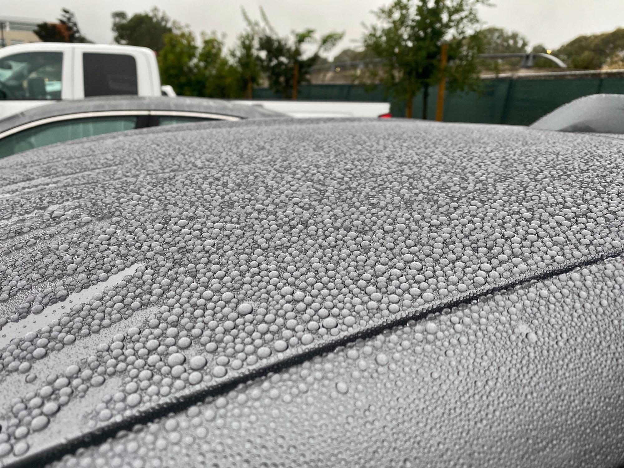 The way water beaded on my car's roof.