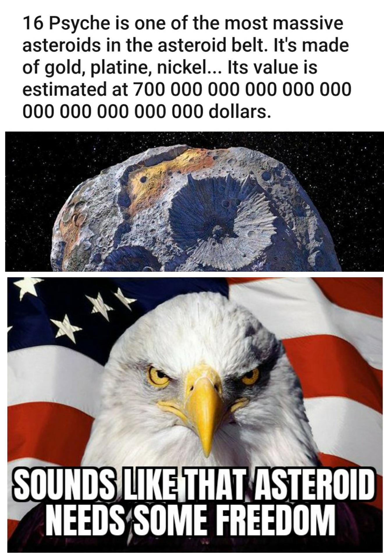 Freedom is a must America memes