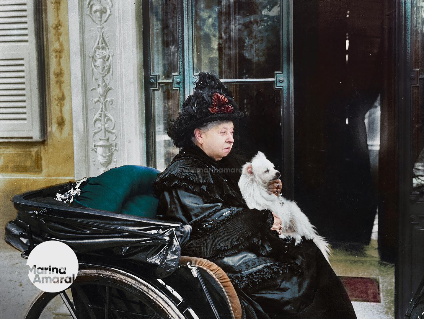 Queen Victoria sitting in a carriage with Turi, her
