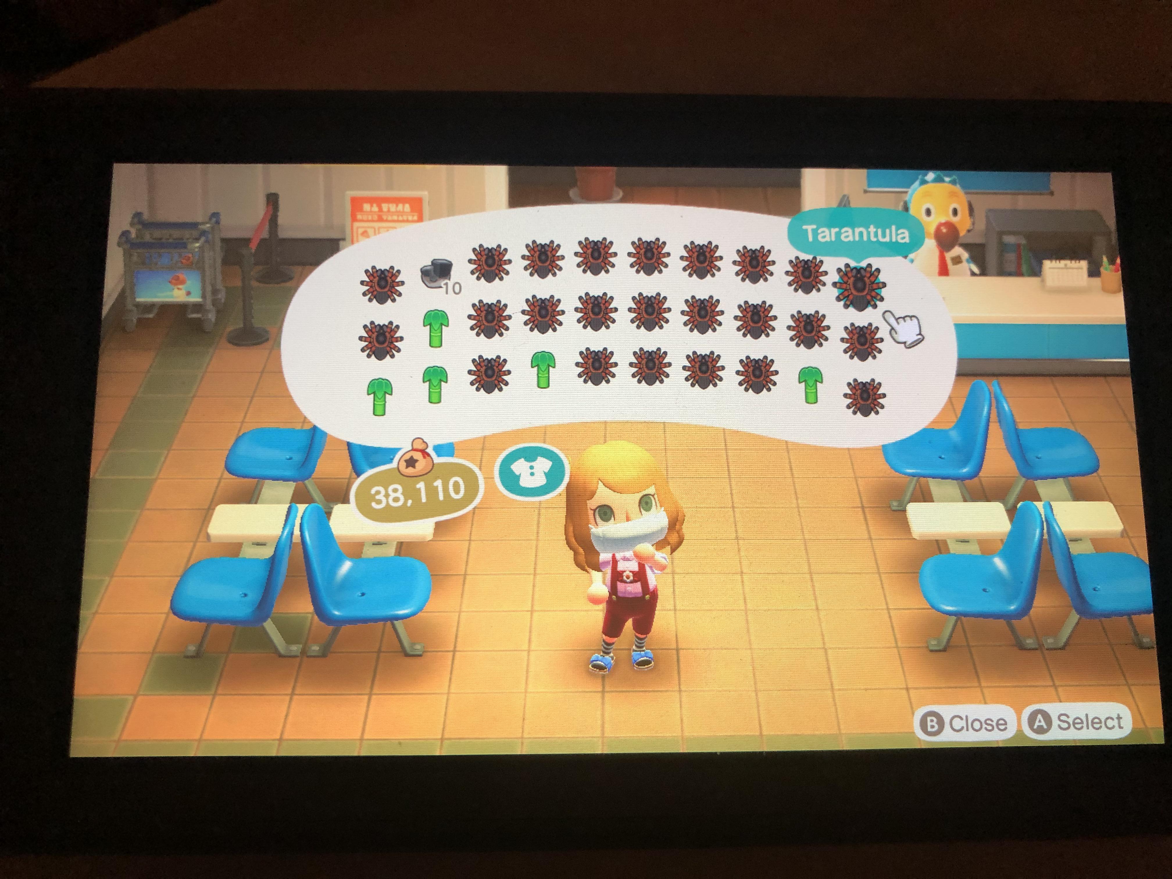 Made a bamboo island into a tarantula island last night r/AnimalCrossing