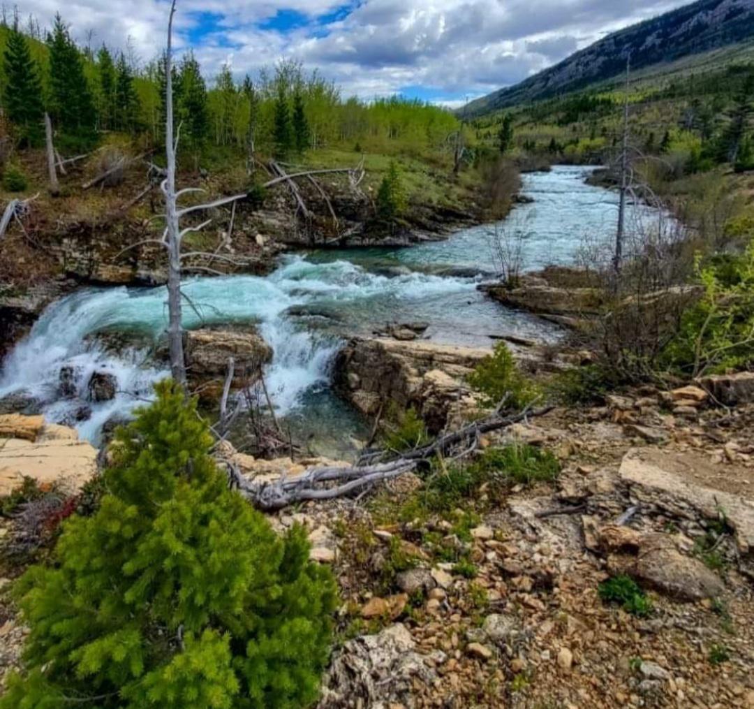 Dearborn River Craig, Montana, United States 1080x1015 (OC) r/EarthPorn