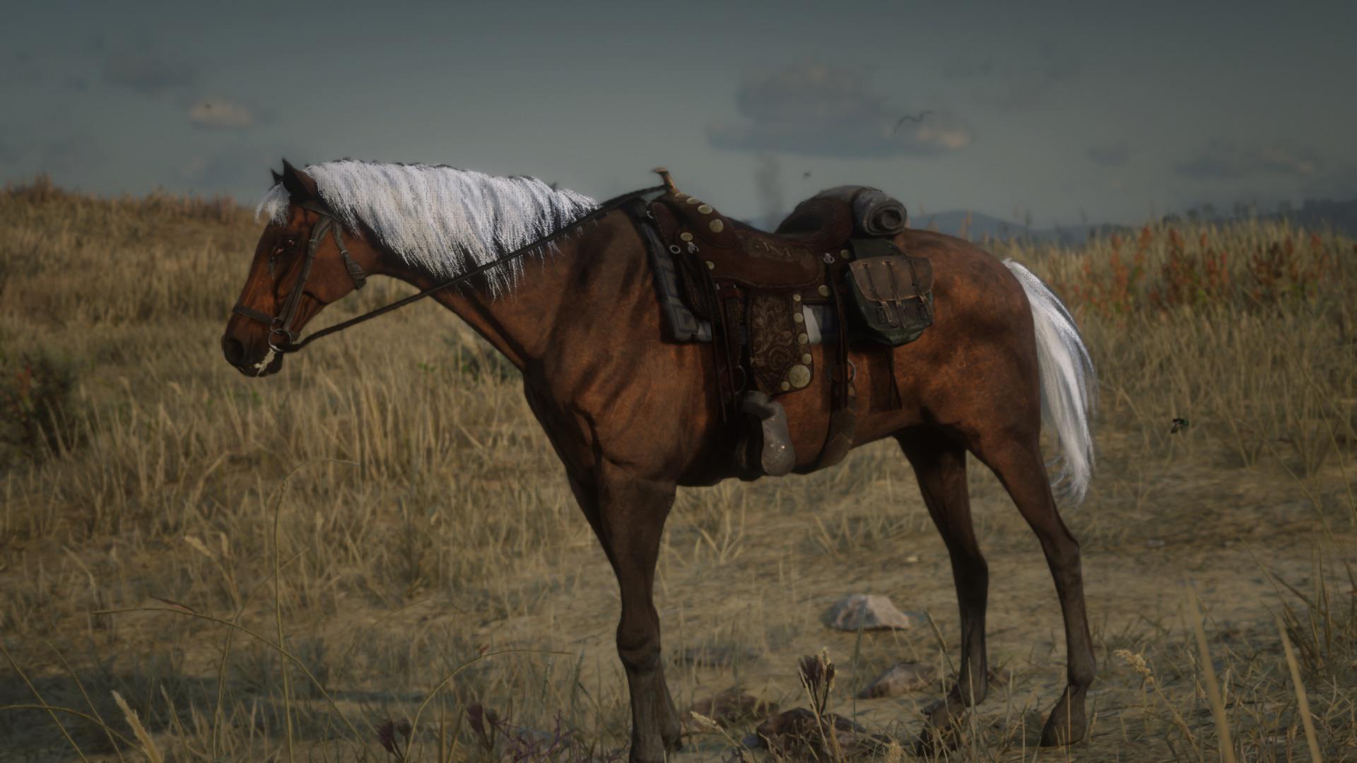 Johns chapter 1 horse is one of my favorite coats in the game (Along