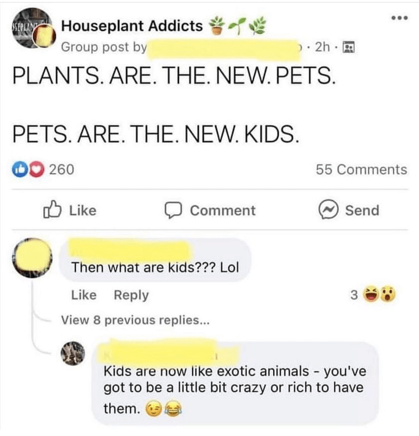 plants are the new pets