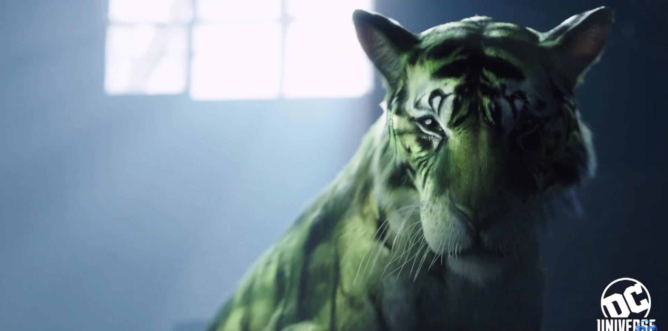 New up Close Look Of Gar Logan As Tiger DC Daily Today r/TitansTV