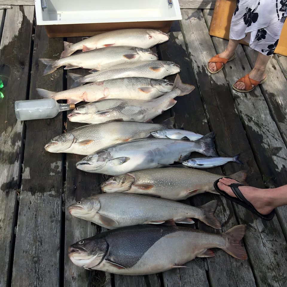 Awesome day on Lake Ontario, 9 Lake Trout 3 Salmon r/Fishing