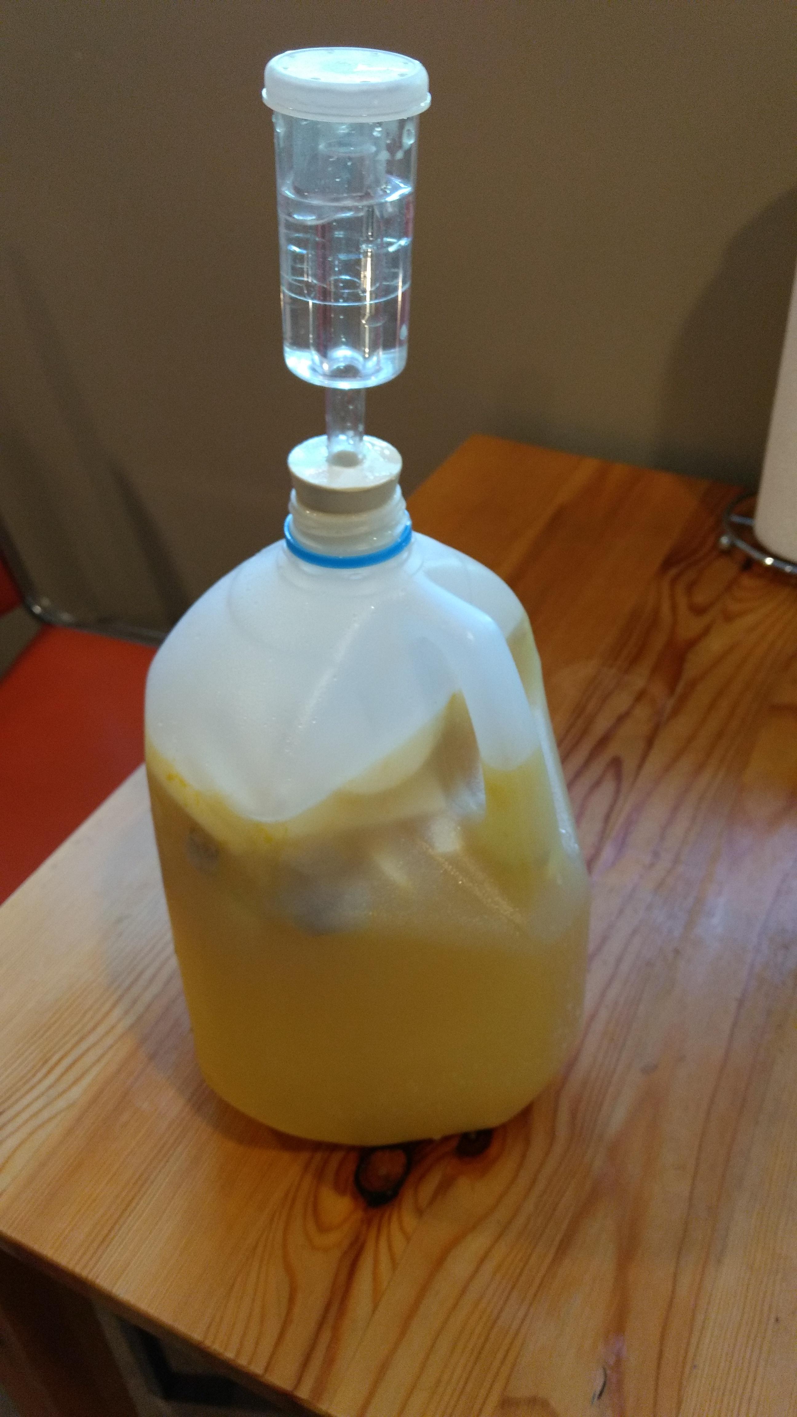 Korean Mead Into Secondary Fermentation r/mead