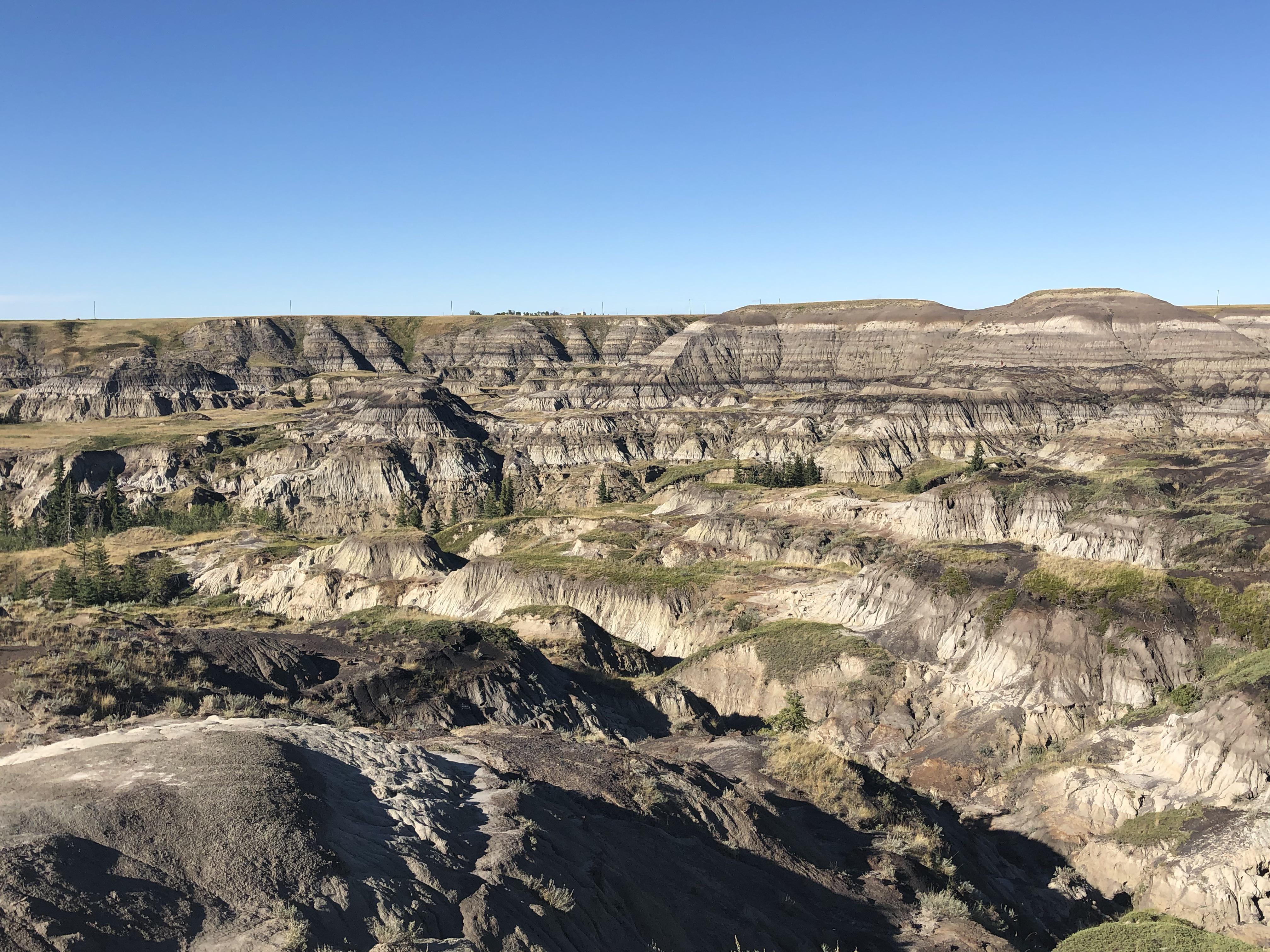 Horseshoe Canyon Hike r/alberta