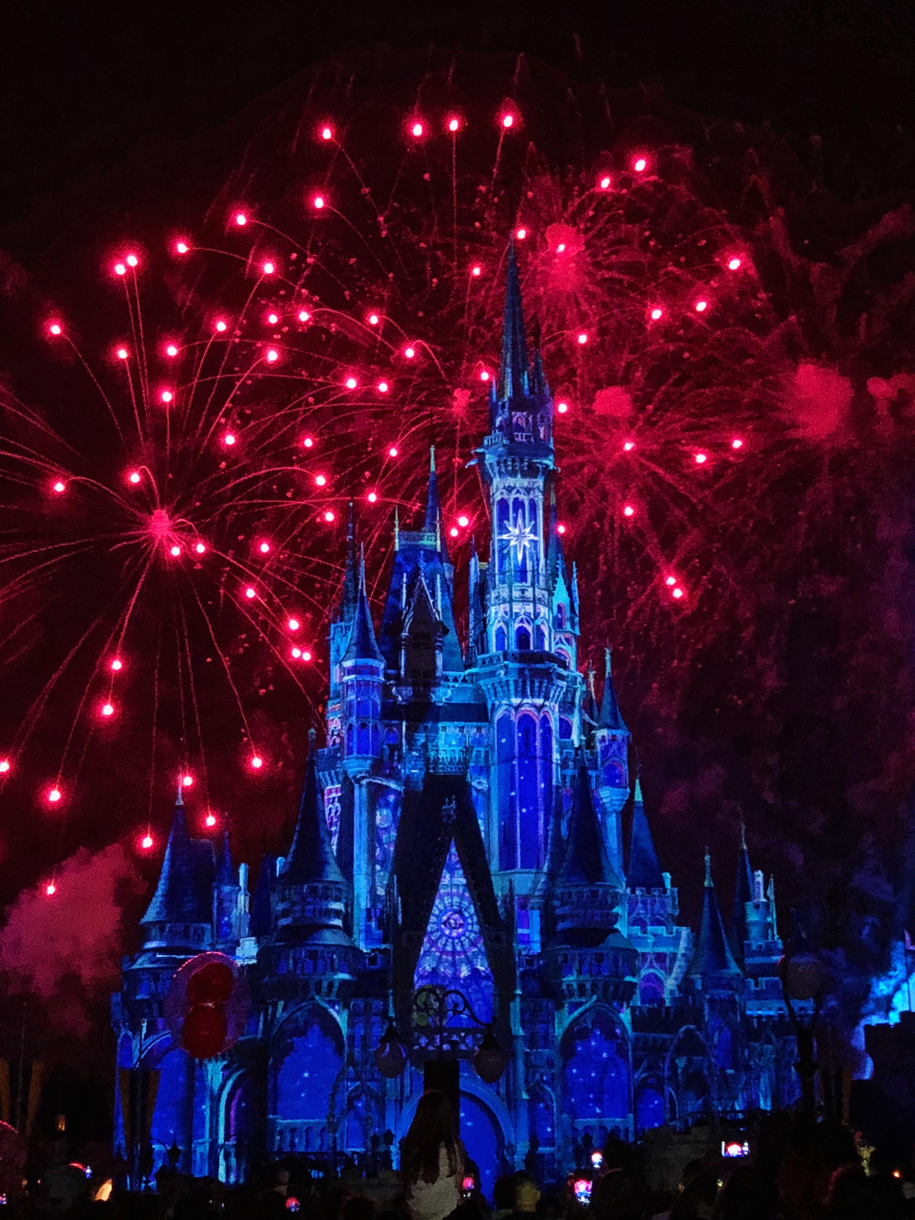 Visited the Magic Kingdom for the first time ever. r/WaltDisneyWorld