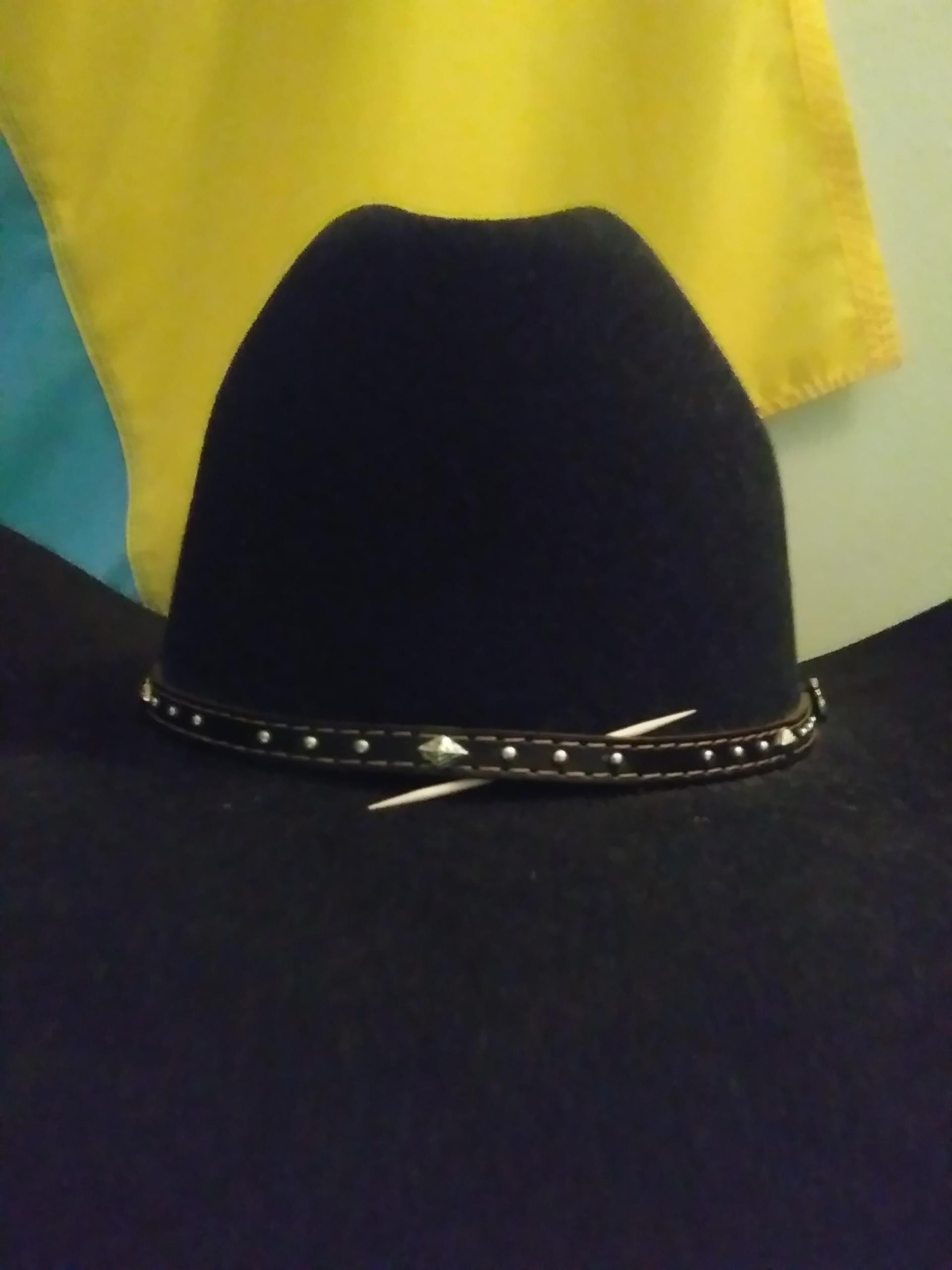 Toothpick? r/CowboyHats