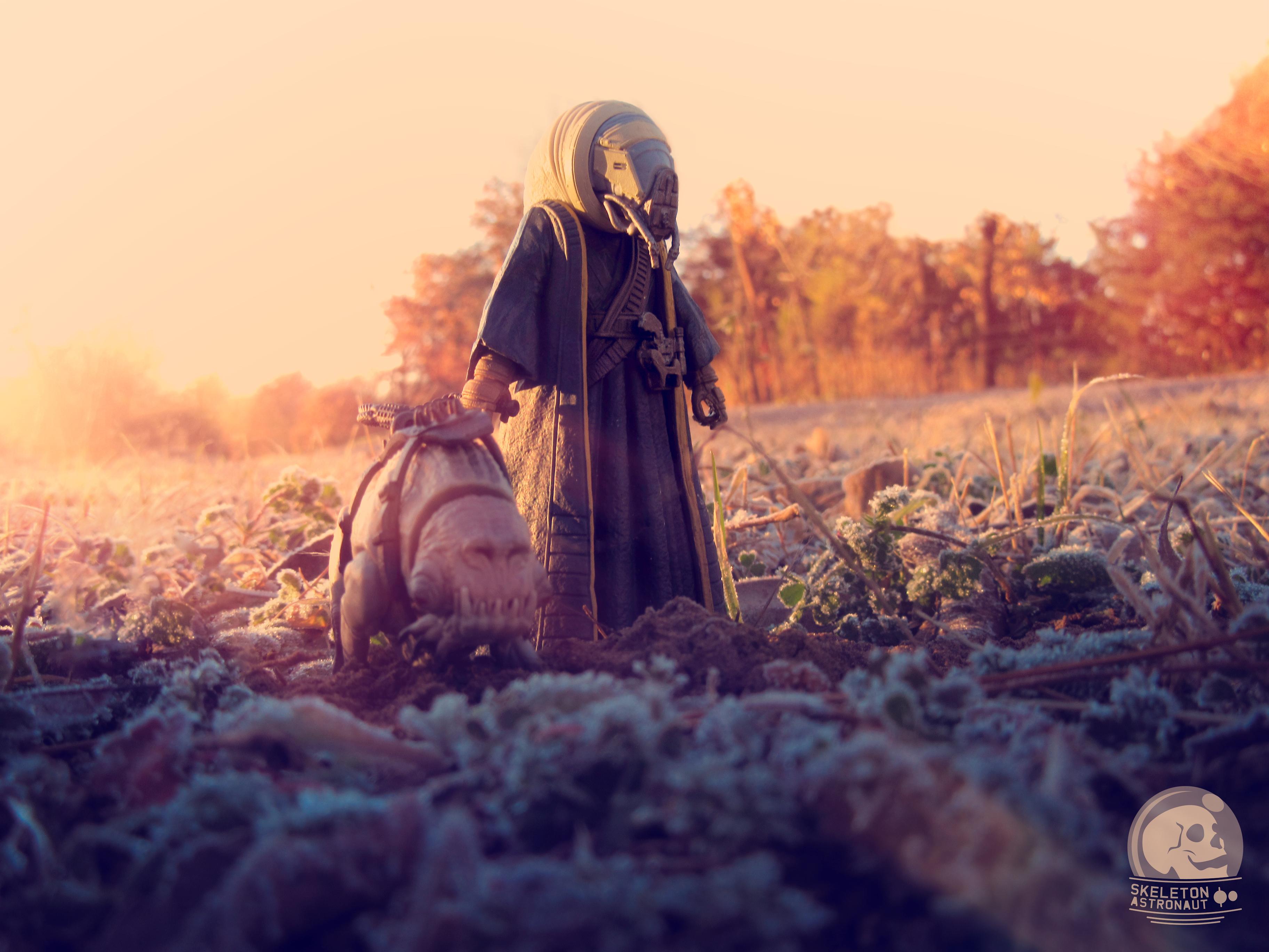 Dog Walker r/StarWars