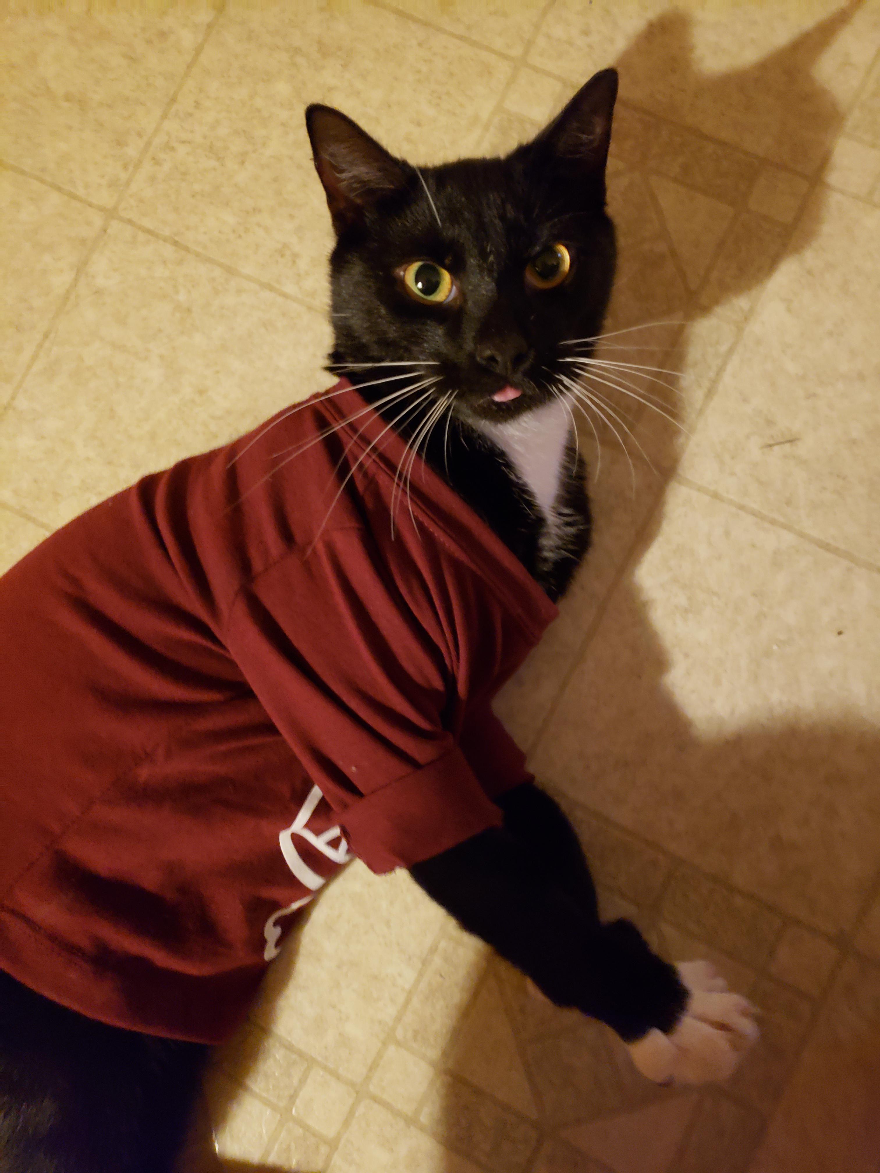 Here's a "don't know how to walk with a shirt on but I can't stop