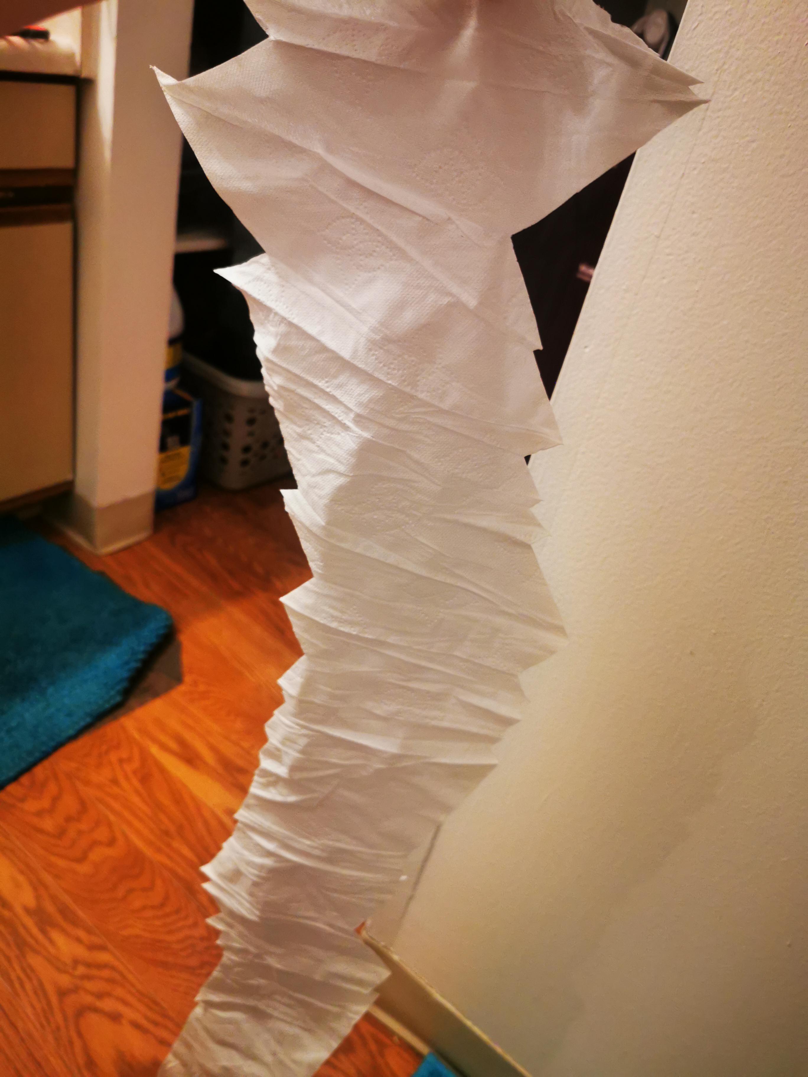 Member's Mark Toilet Paper Change? Latest purchase seemed not as soft