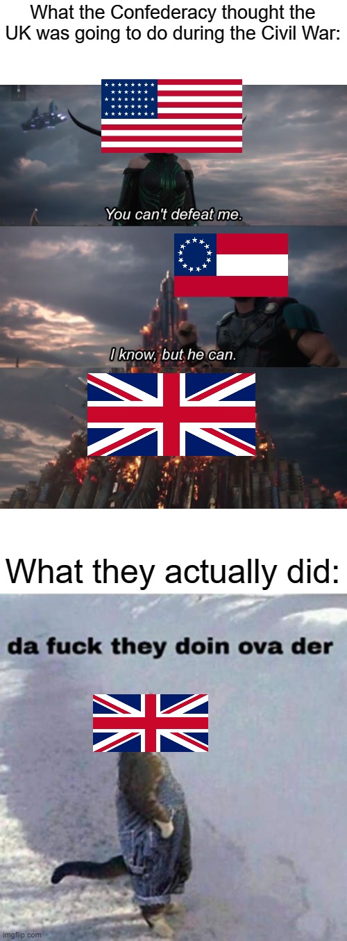 Cotton Diplomacy didn't work r/HistoryMemes