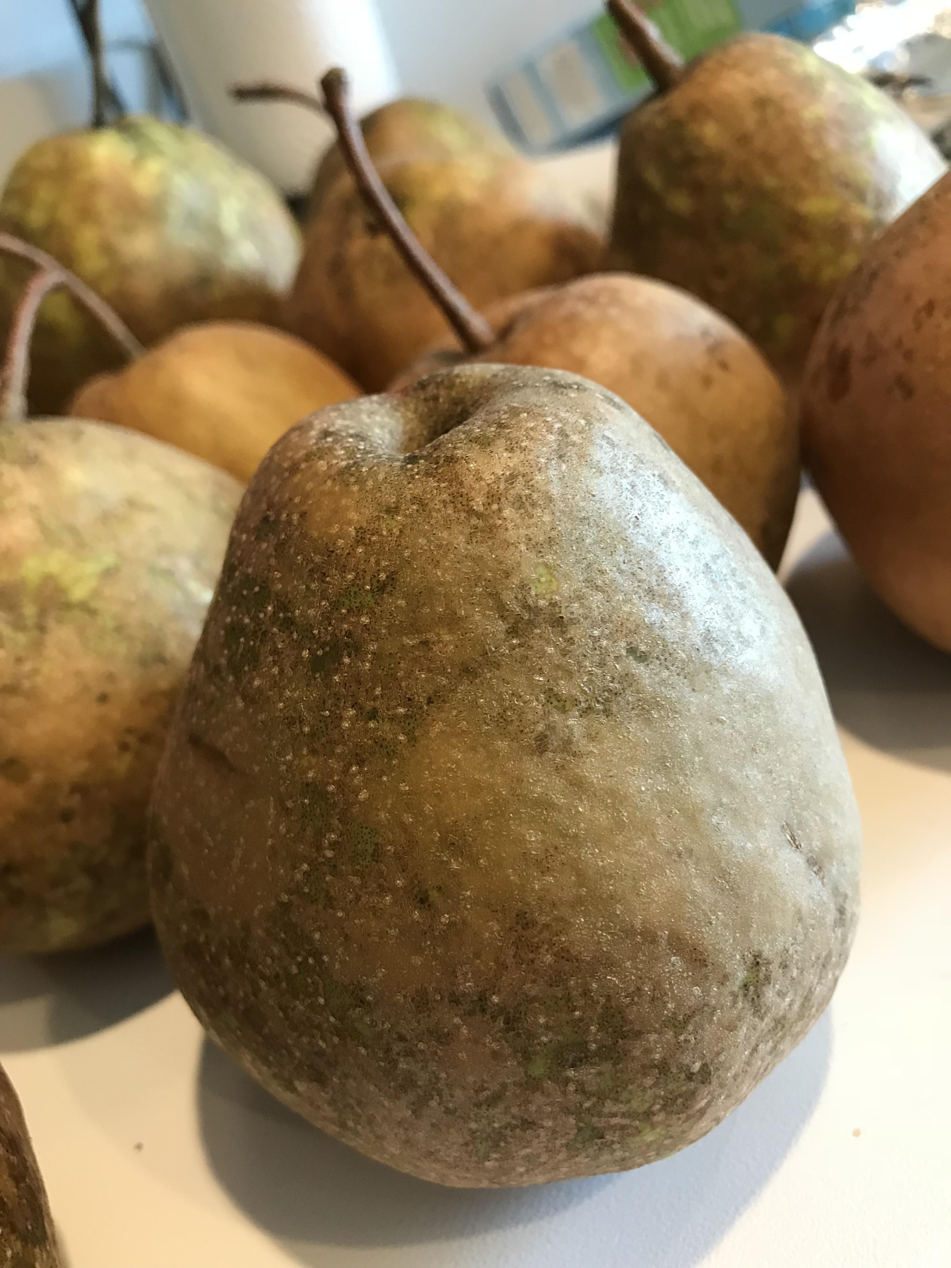 Reddit help What type of pears are these? r/gardening
