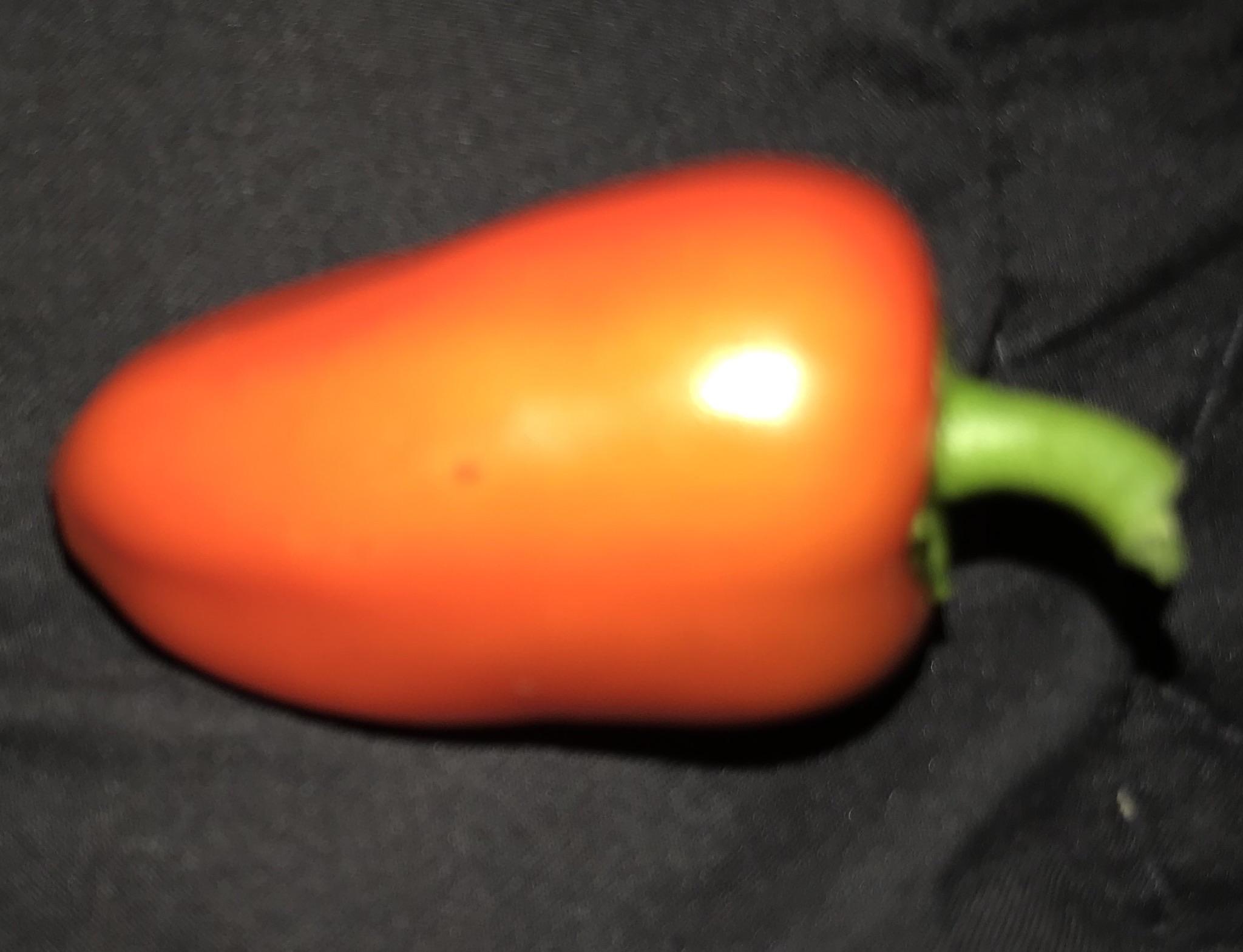 My Aldi Mini Sweet Pepper Version 2.0! 😍👍 r/aldi